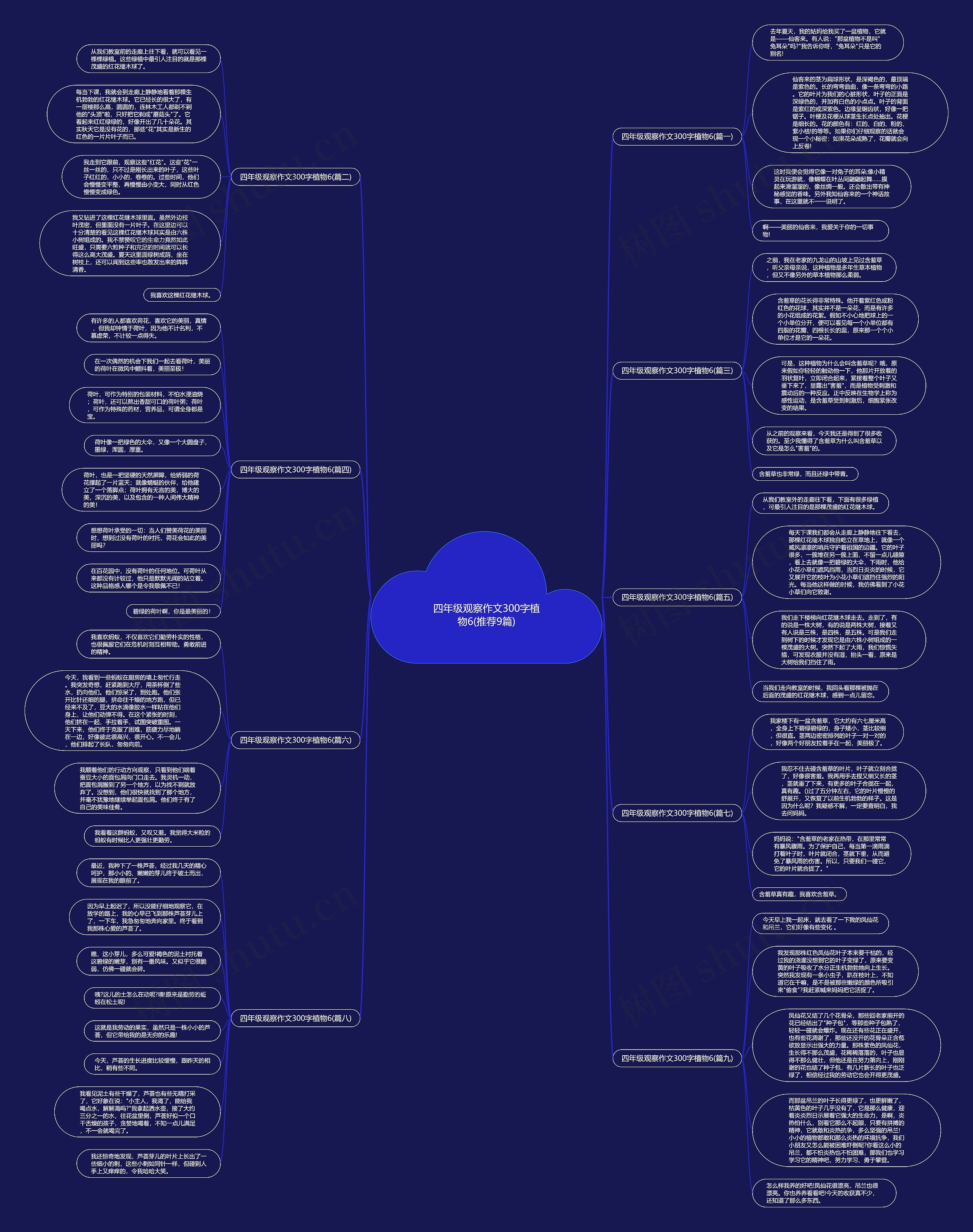 四年级观察作文300字植物6(推荐9篇)思维导图