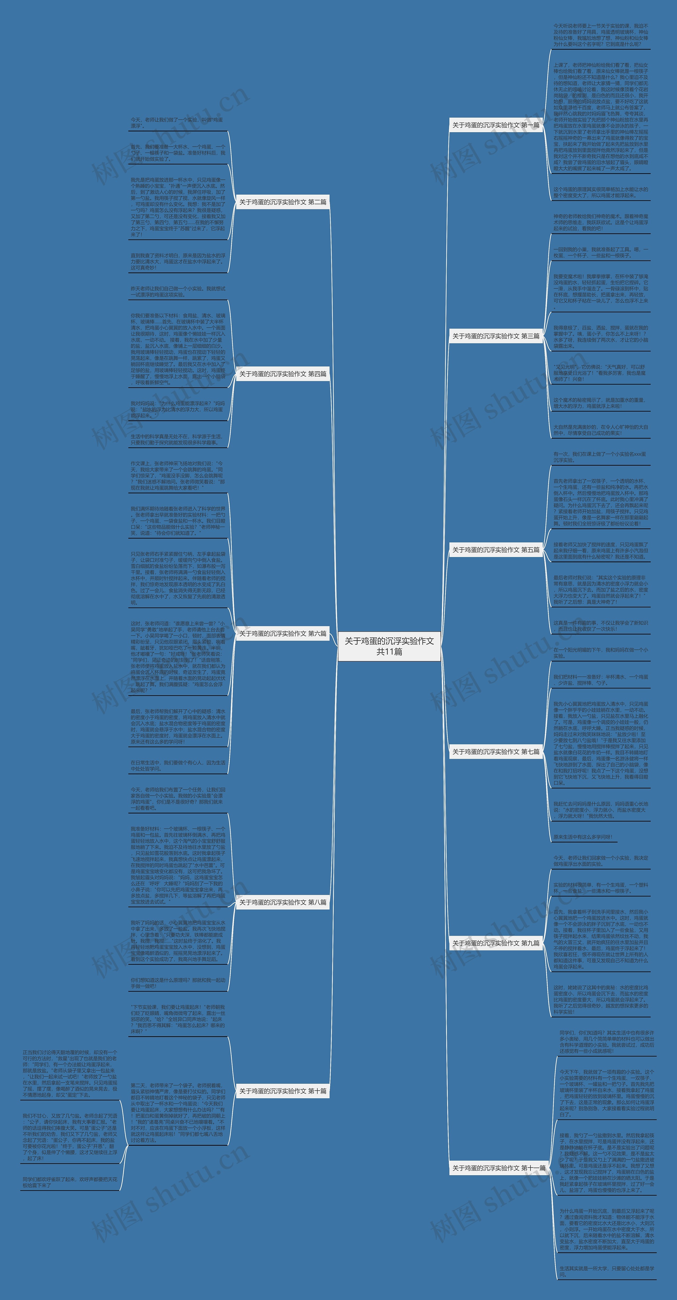 关于鸡蛋的沉浮实验作文共11篇思维导图