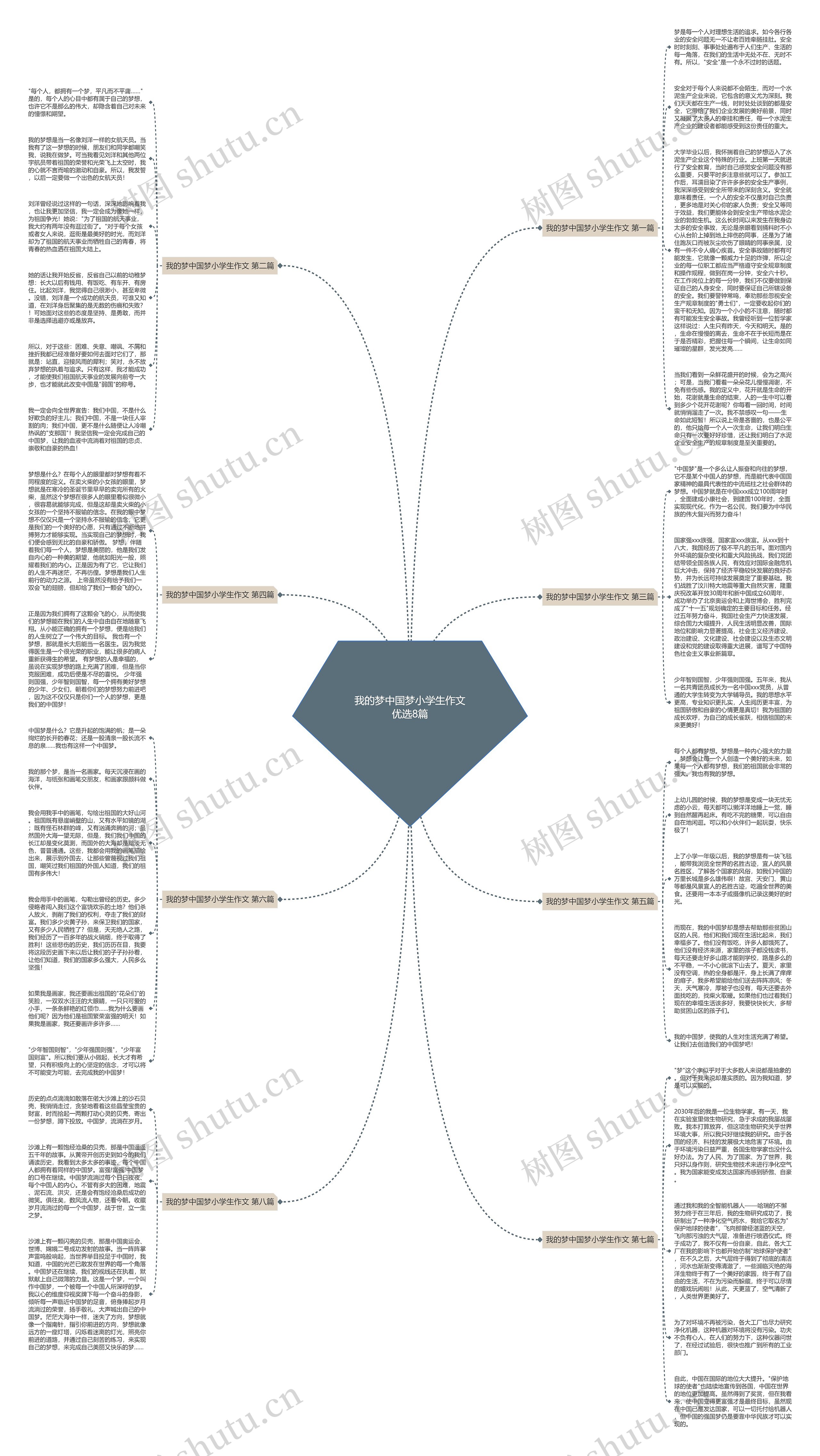 我的梦中国梦小学生作文优选8篇