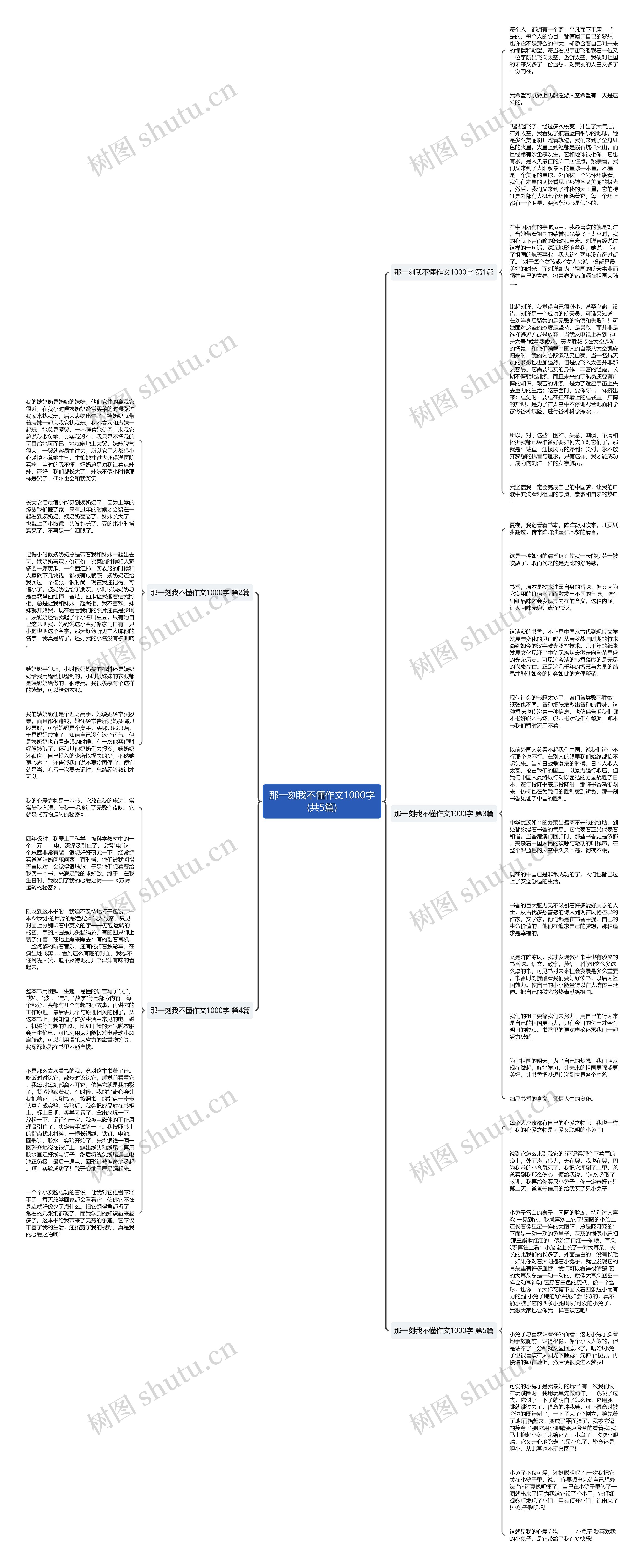 那一刻我不懂作文1000字(共5篇)思维导图