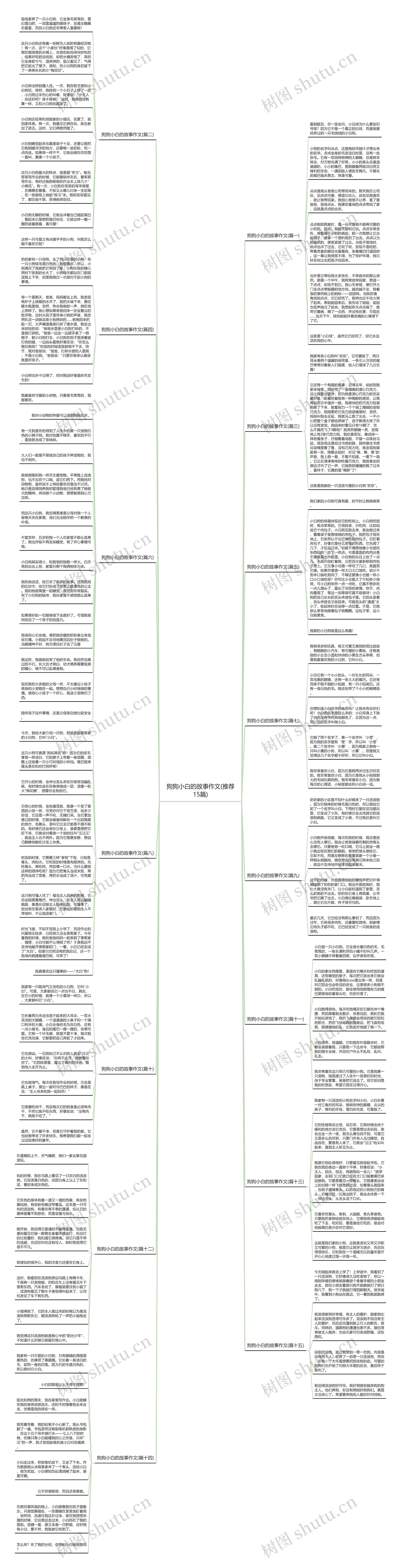 狗狗小白的故事作文(推荐15篇)思维导图