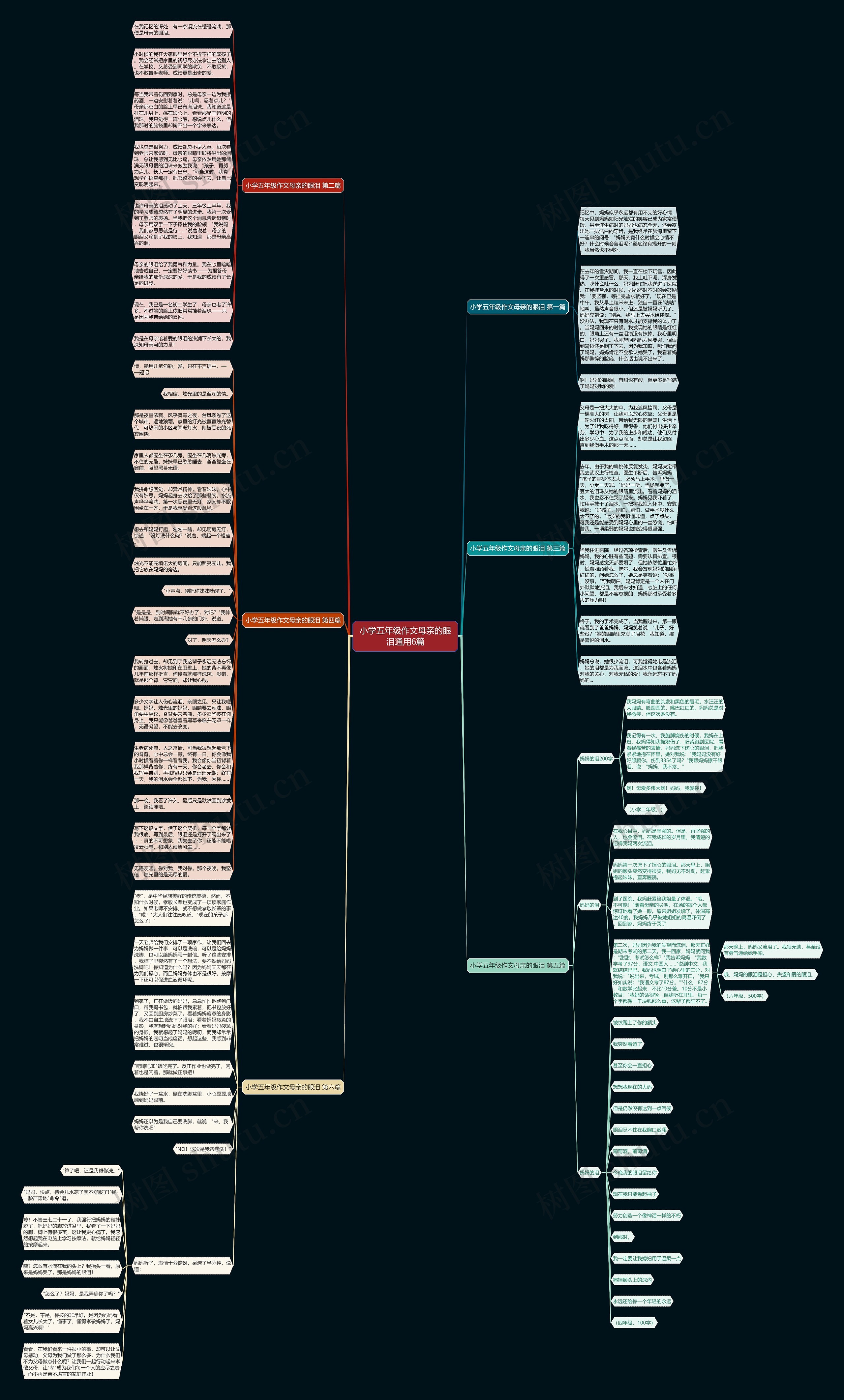 小学五年级作文母亲的眼泪通用6篇思维导图
