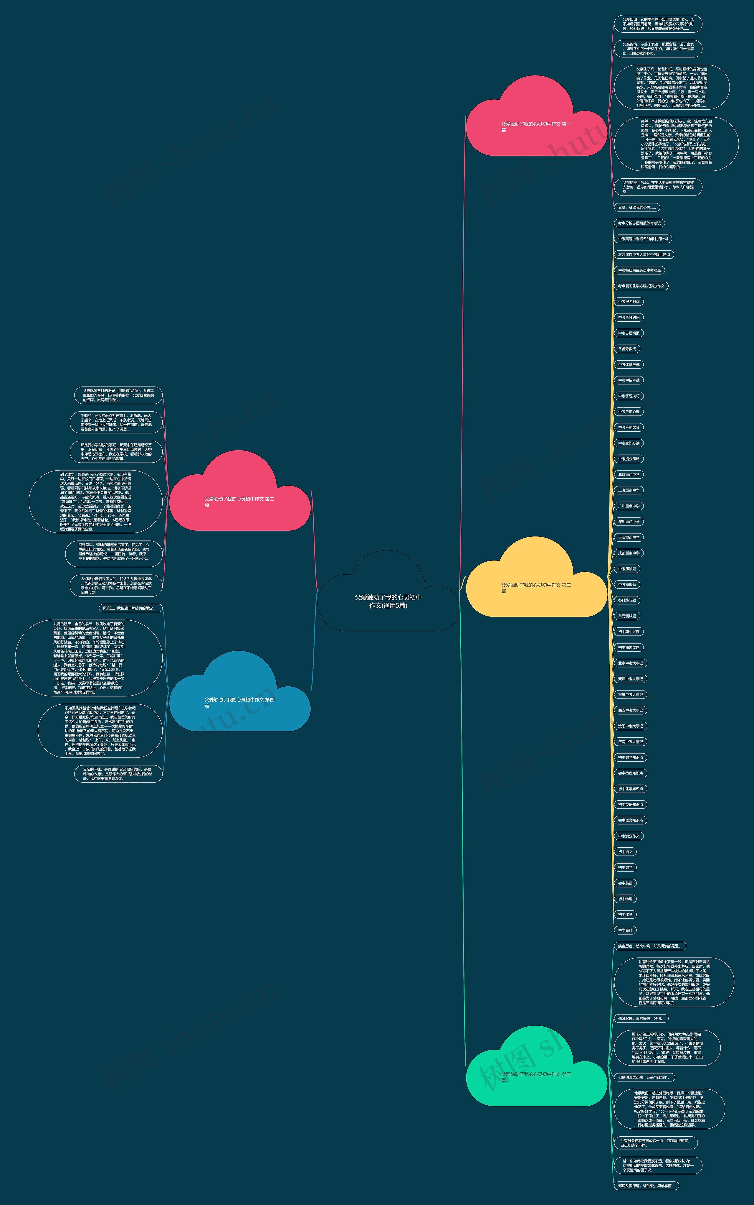 父爱触动了我的心灵初中作文(通用5篇)思维导图