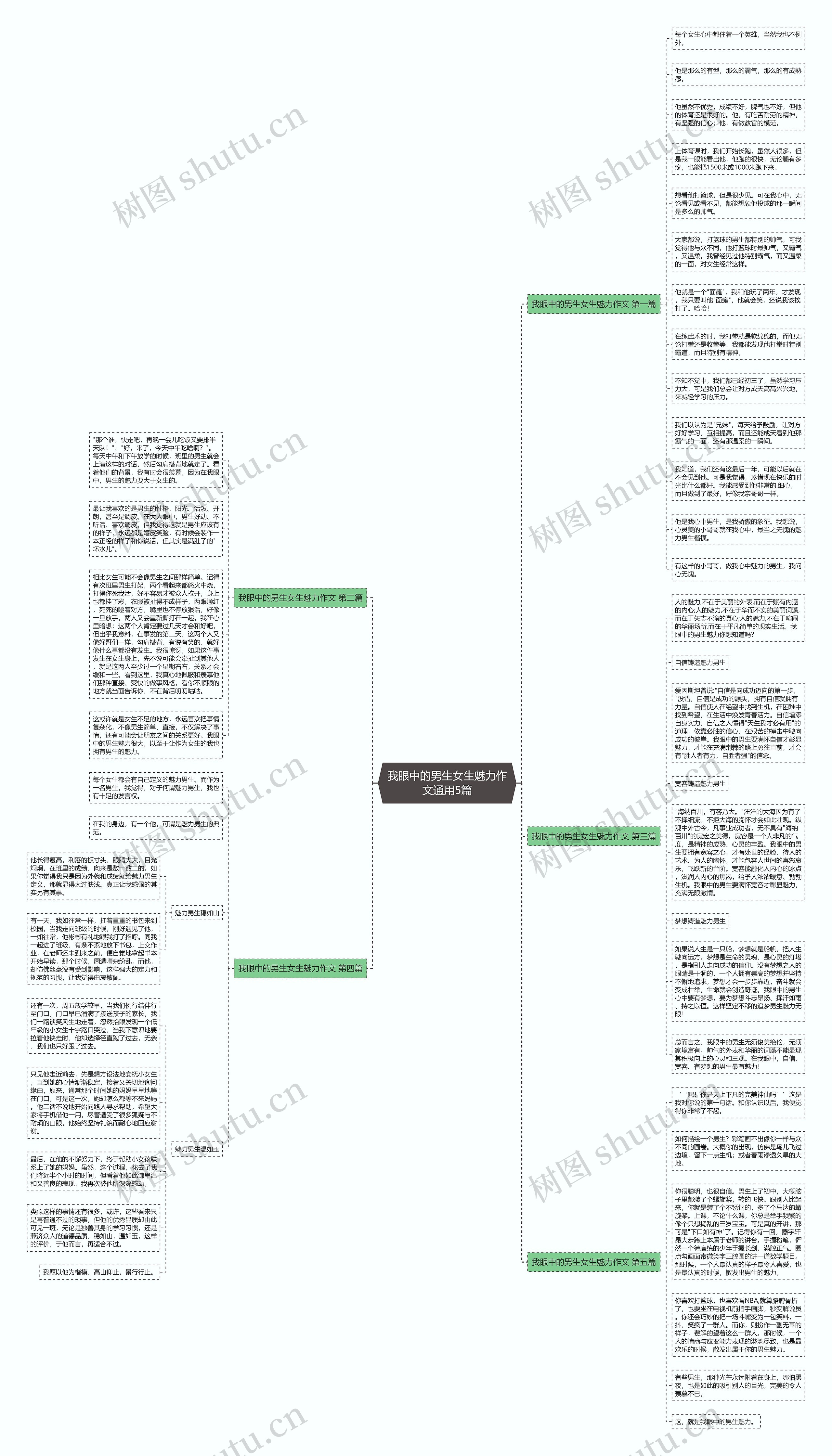 我眼中的男生女生魅力作文通用5篇思维导图