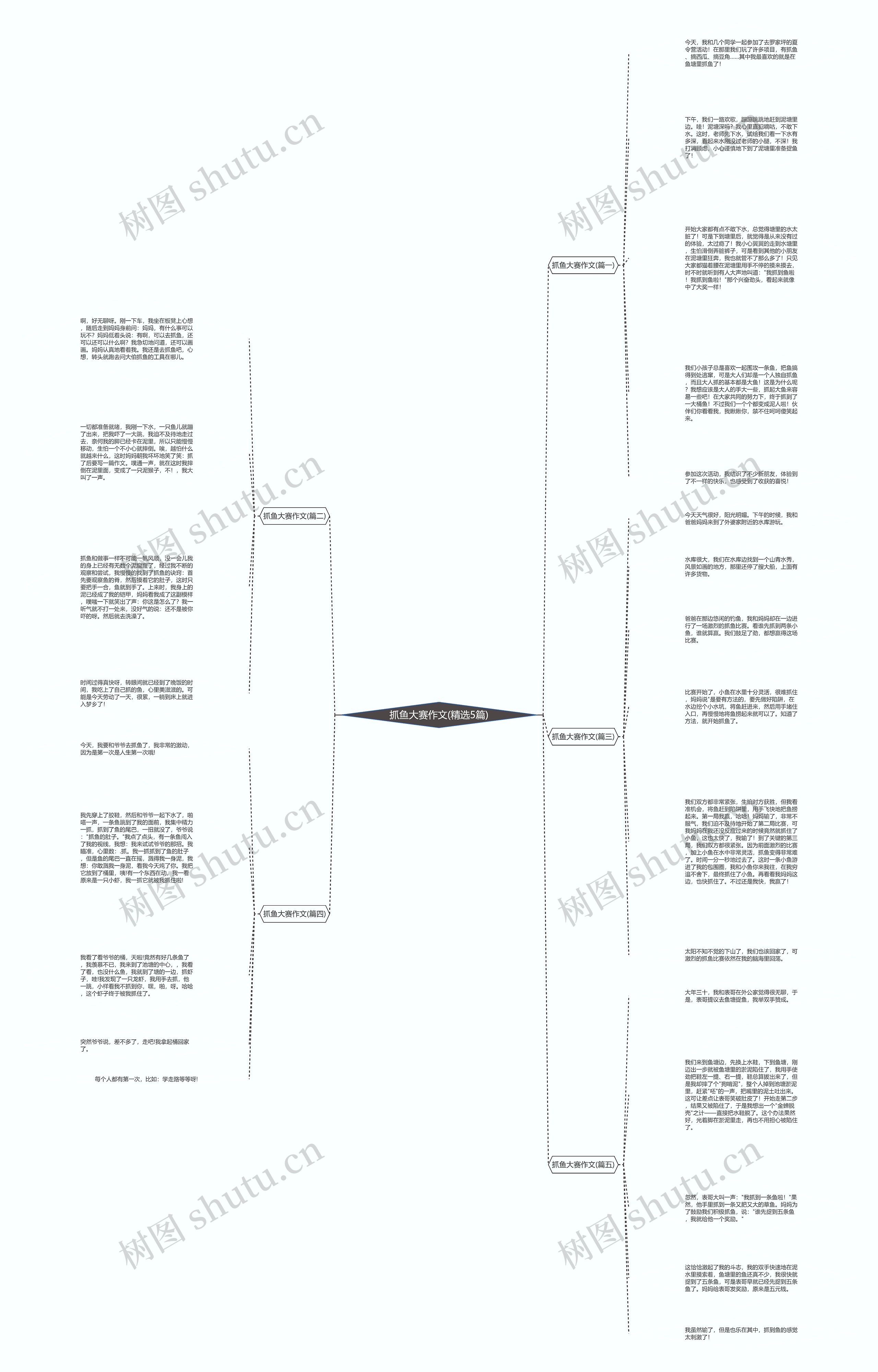 抓鱼大赛作文(精选5篇) 抓鱼大赛作文(精选5篇)