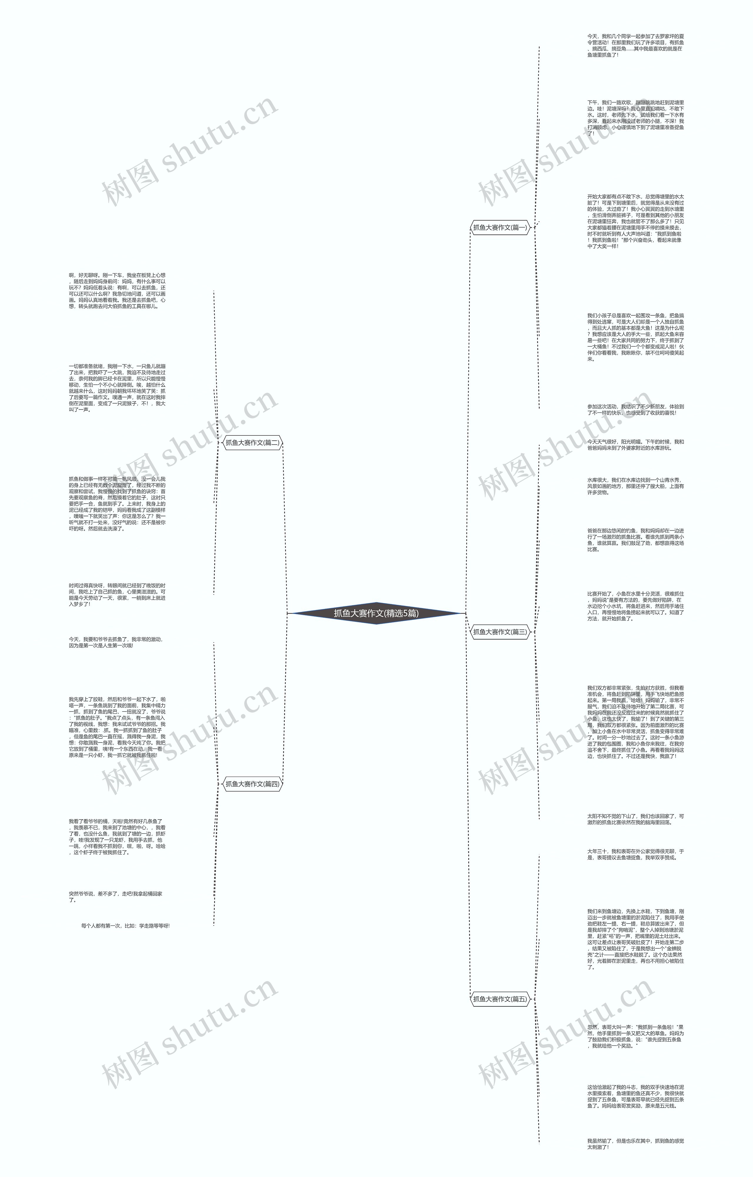 抓鱼大赛作文(精选5篇)思维导图