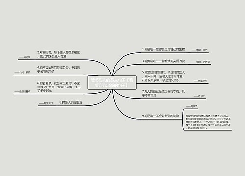 赞美狗狗的英文句子【赞美狗狗忠诚的句子】