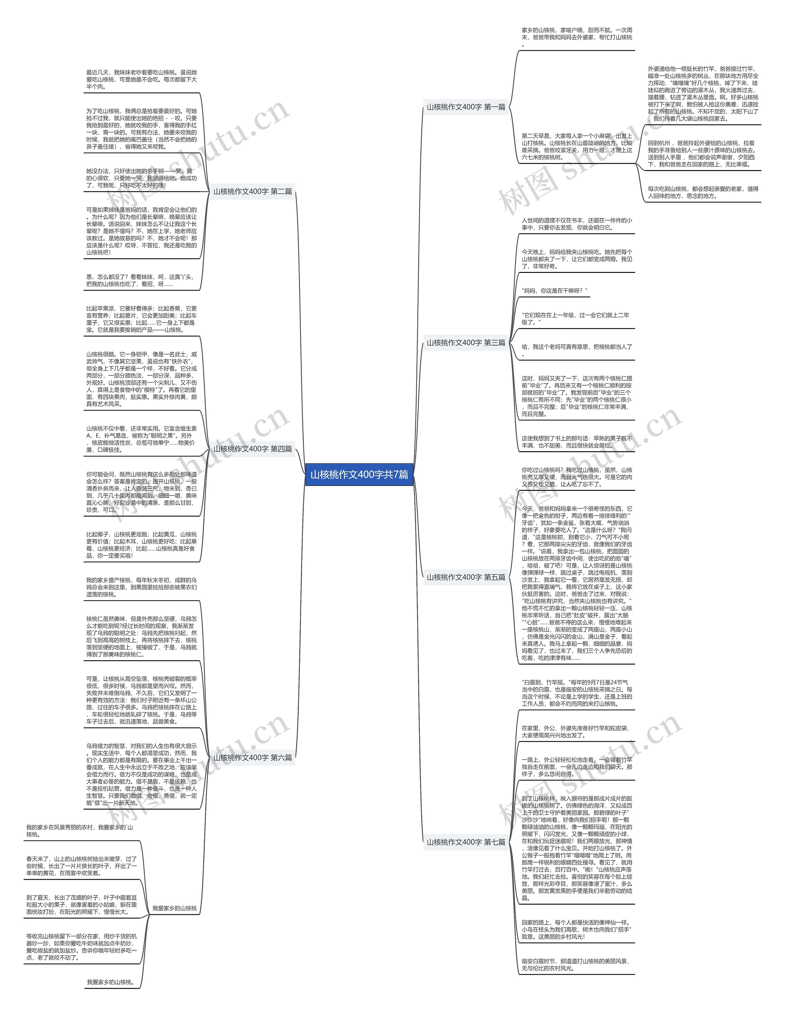 山核桃作文400字共7篇思维导图