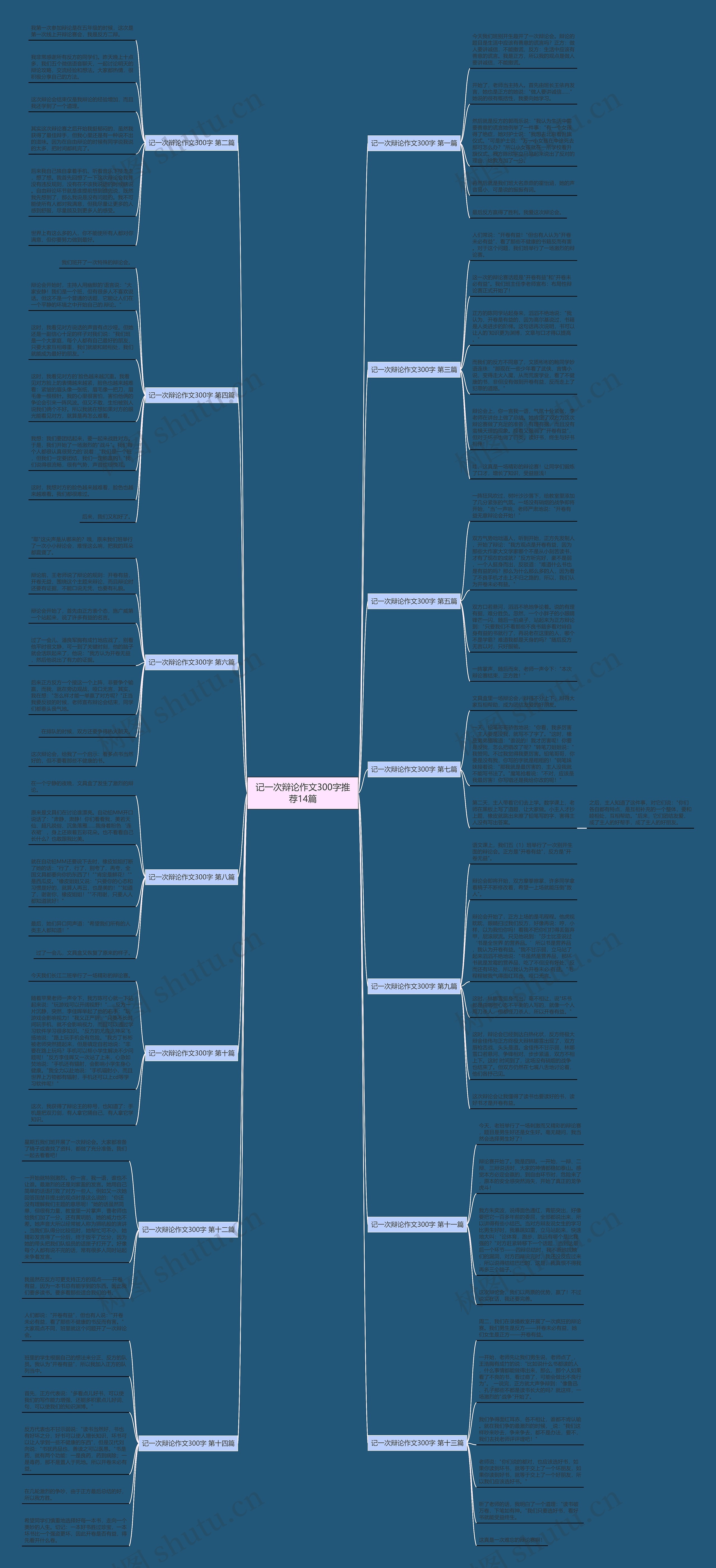 记一次辩论作文300字推荐14篇