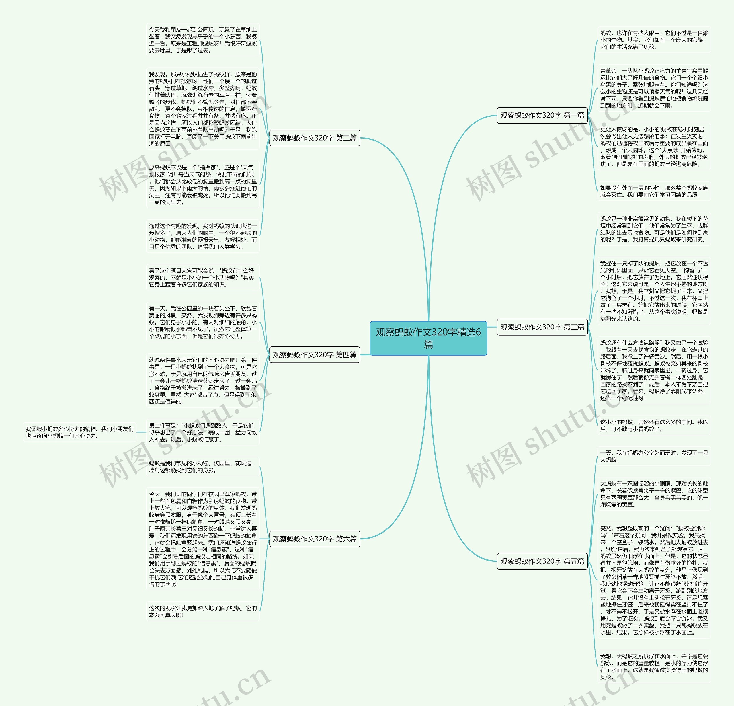 观察蚂蚁作文320字精选6篇思维导图