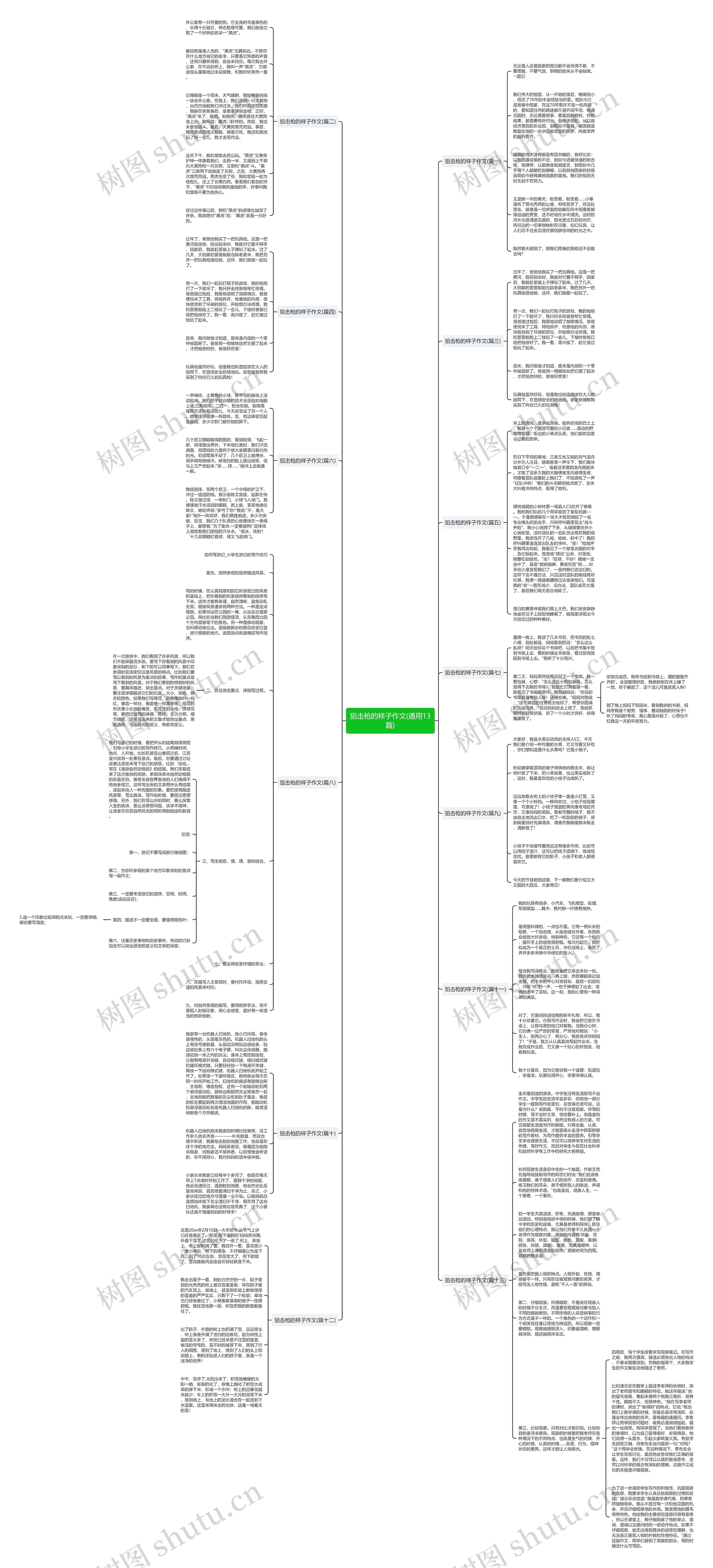 狙击枪的样子作文(通用13篇)思维导图