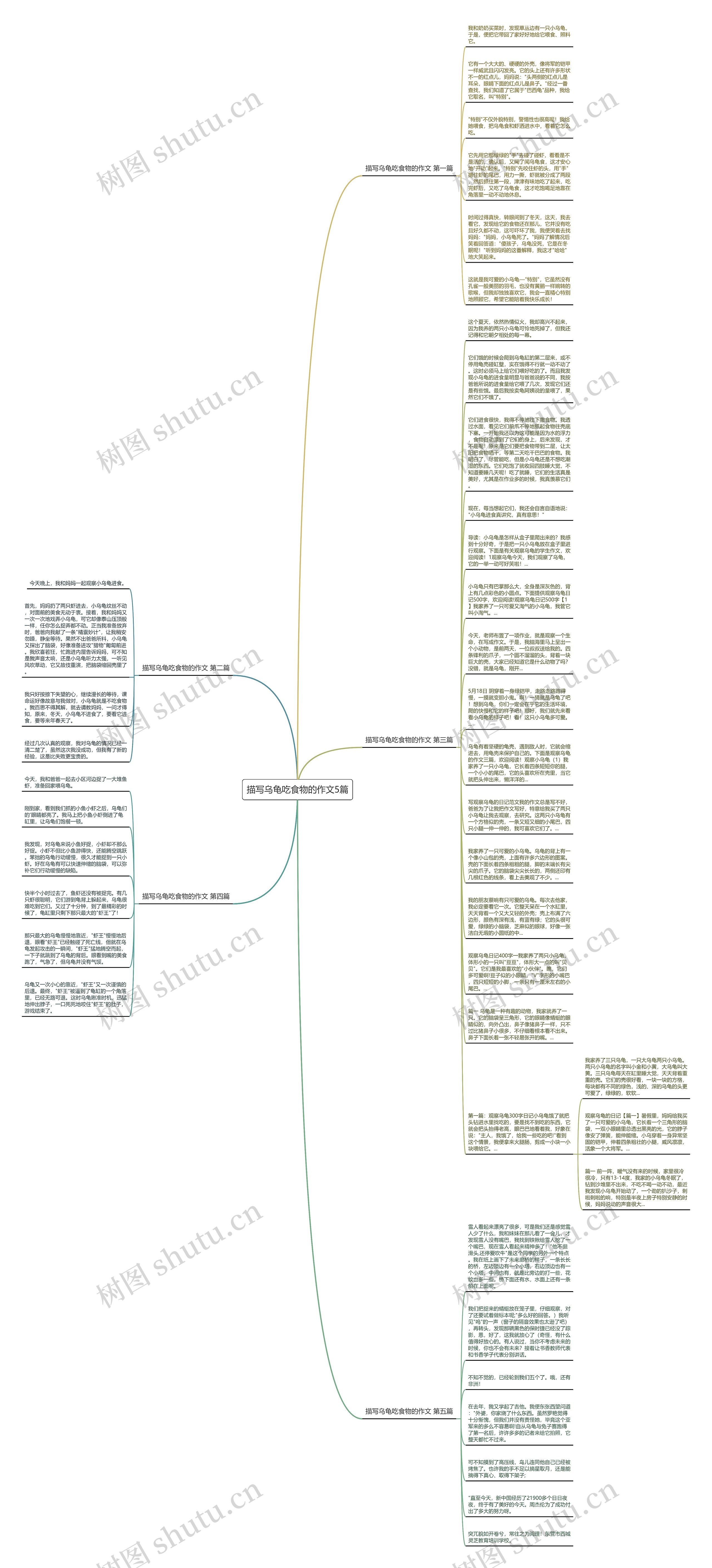 描写乌龟吃食物的作文5篇思维导图