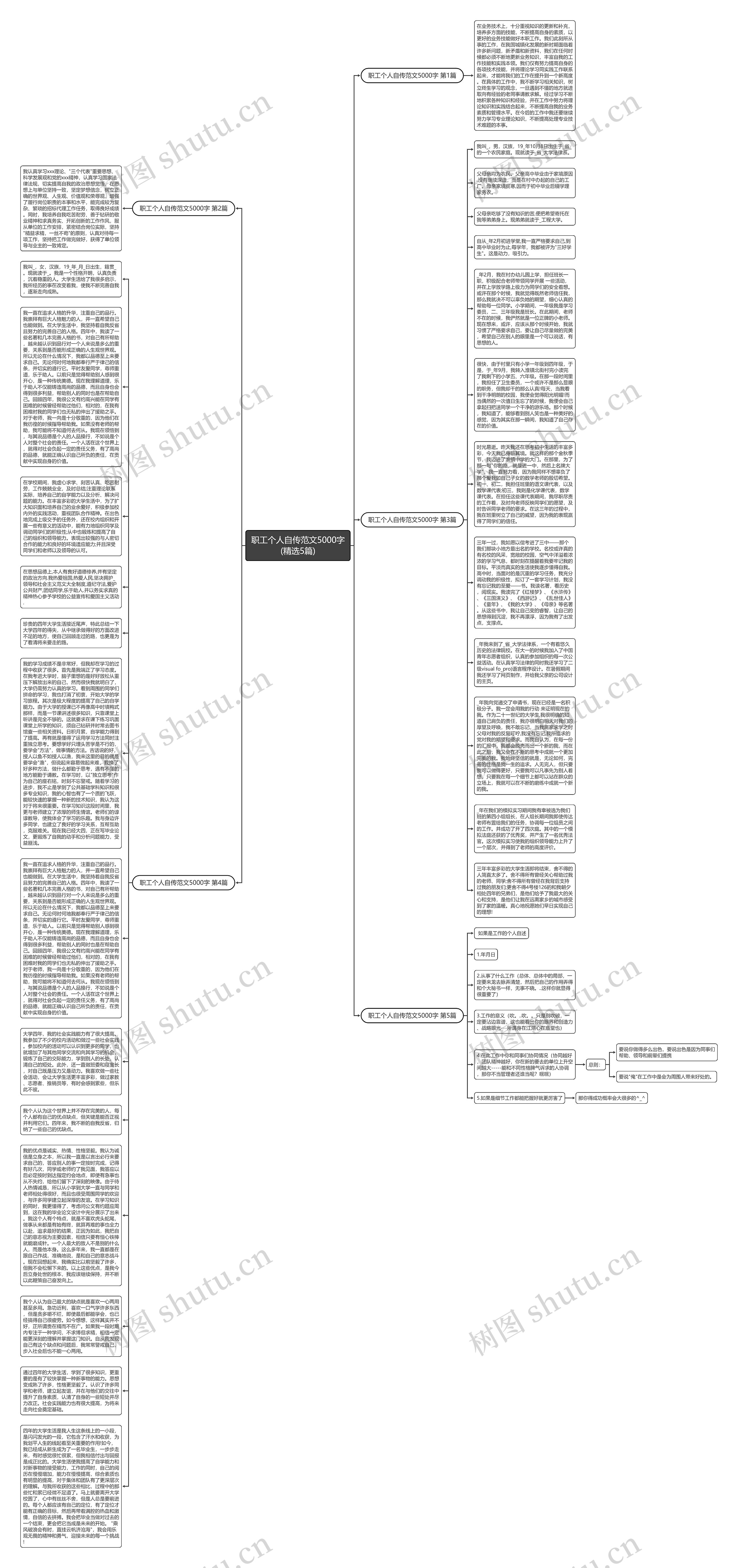 职工个人自传范文5000字(精选5篇)思维导图