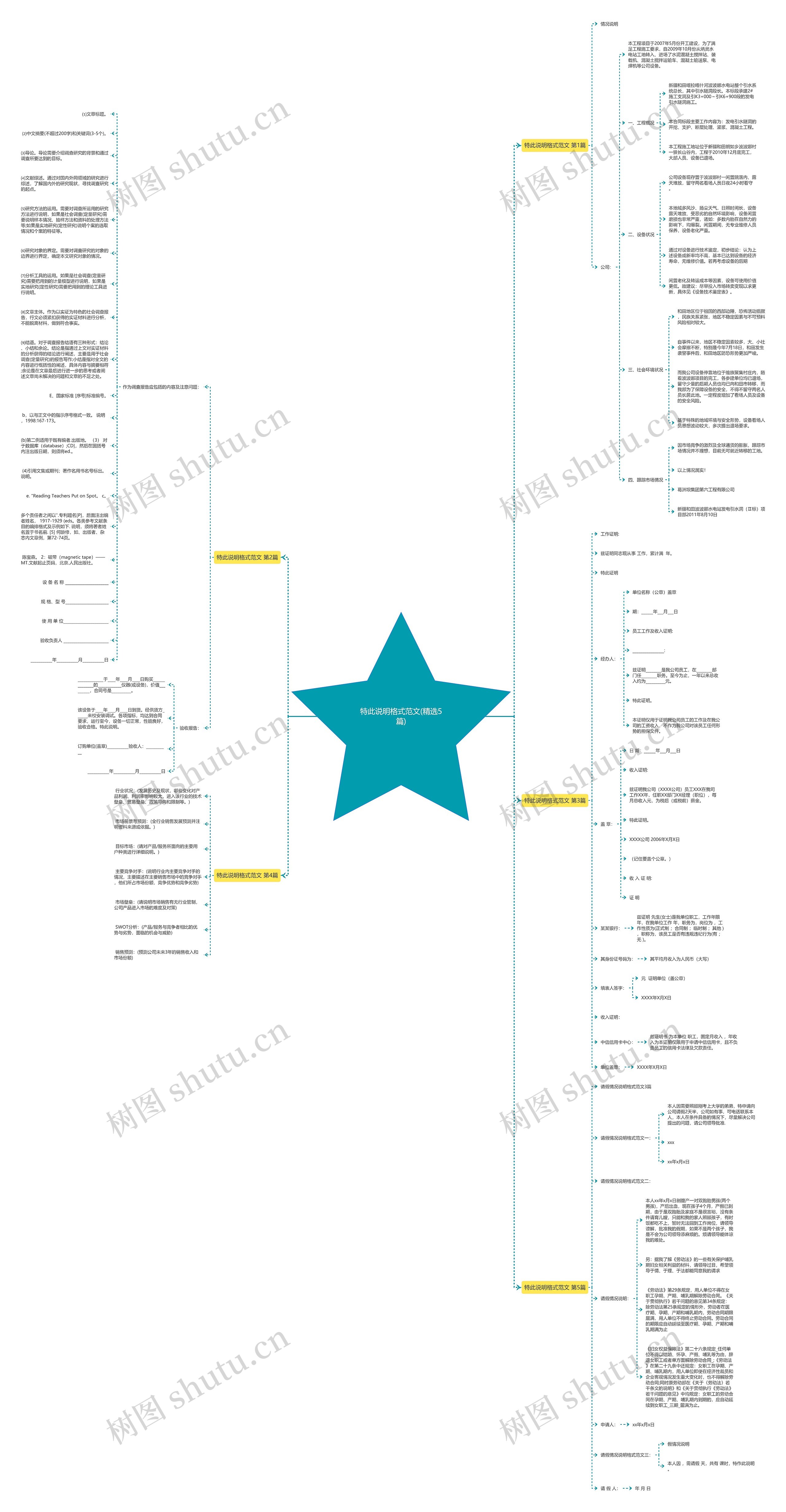 特此说明格式范文(精选5篇)思维导图