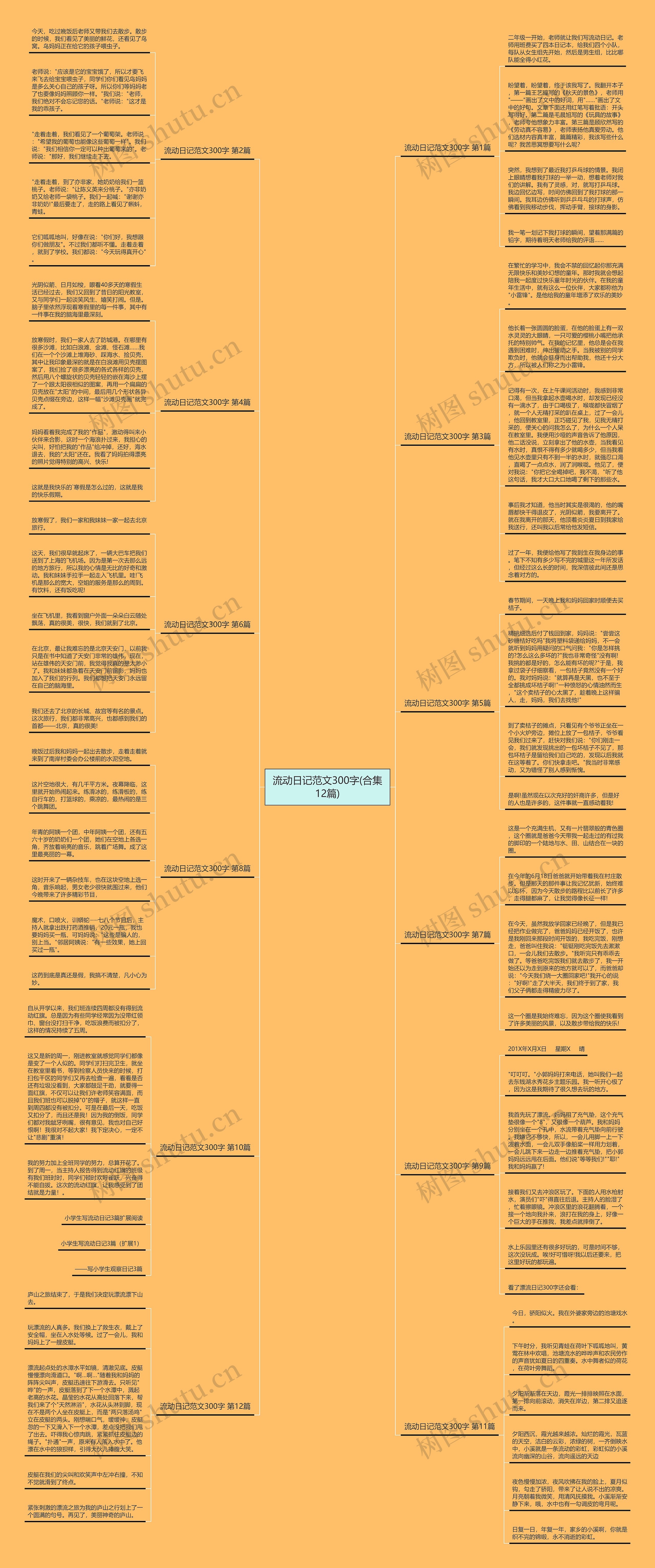 流动日记范文300字(合集12篇)思维导图