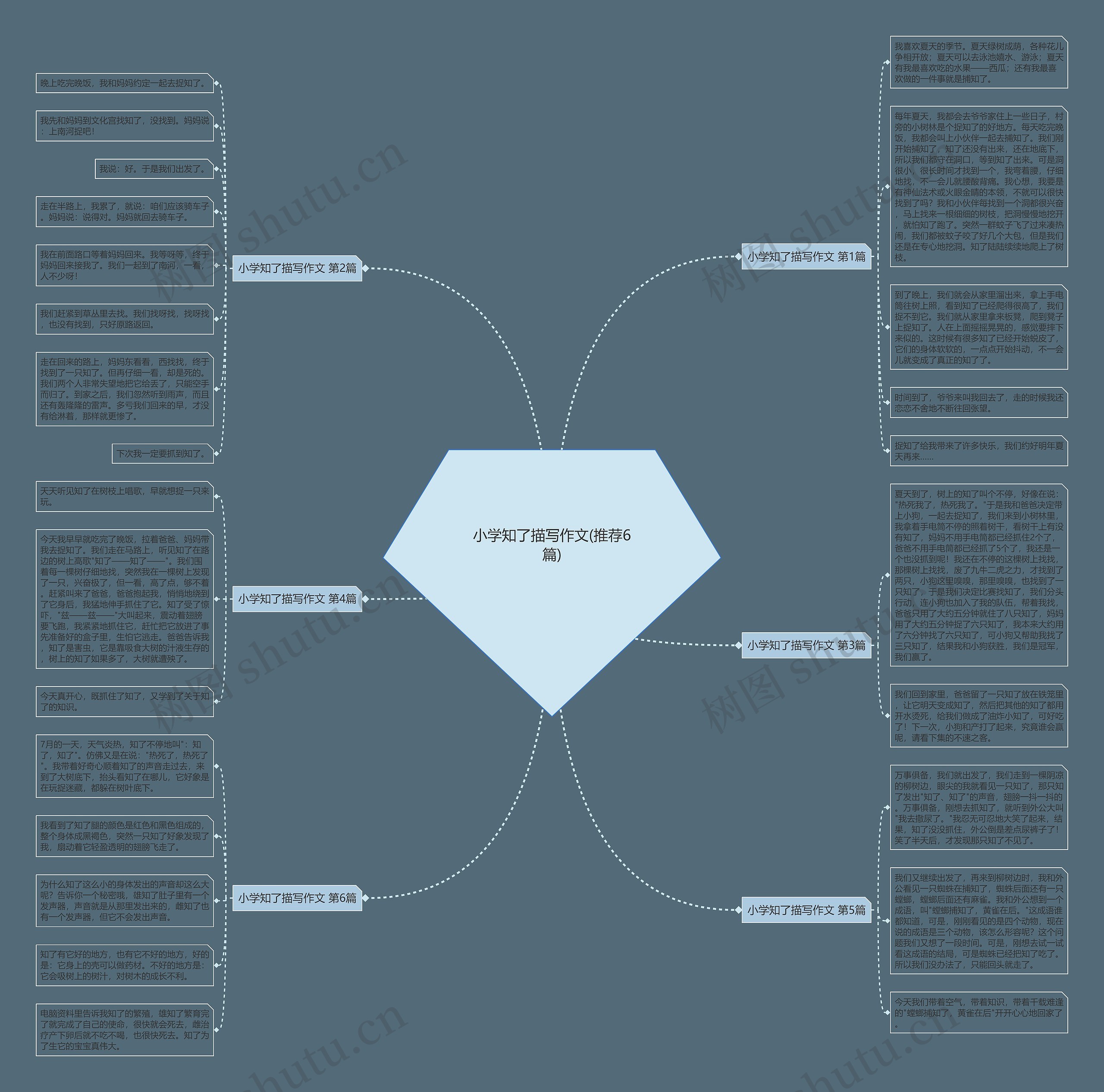 小学知了描写作文(推荐6篇) 小学知了描写作文(推荐6篇)