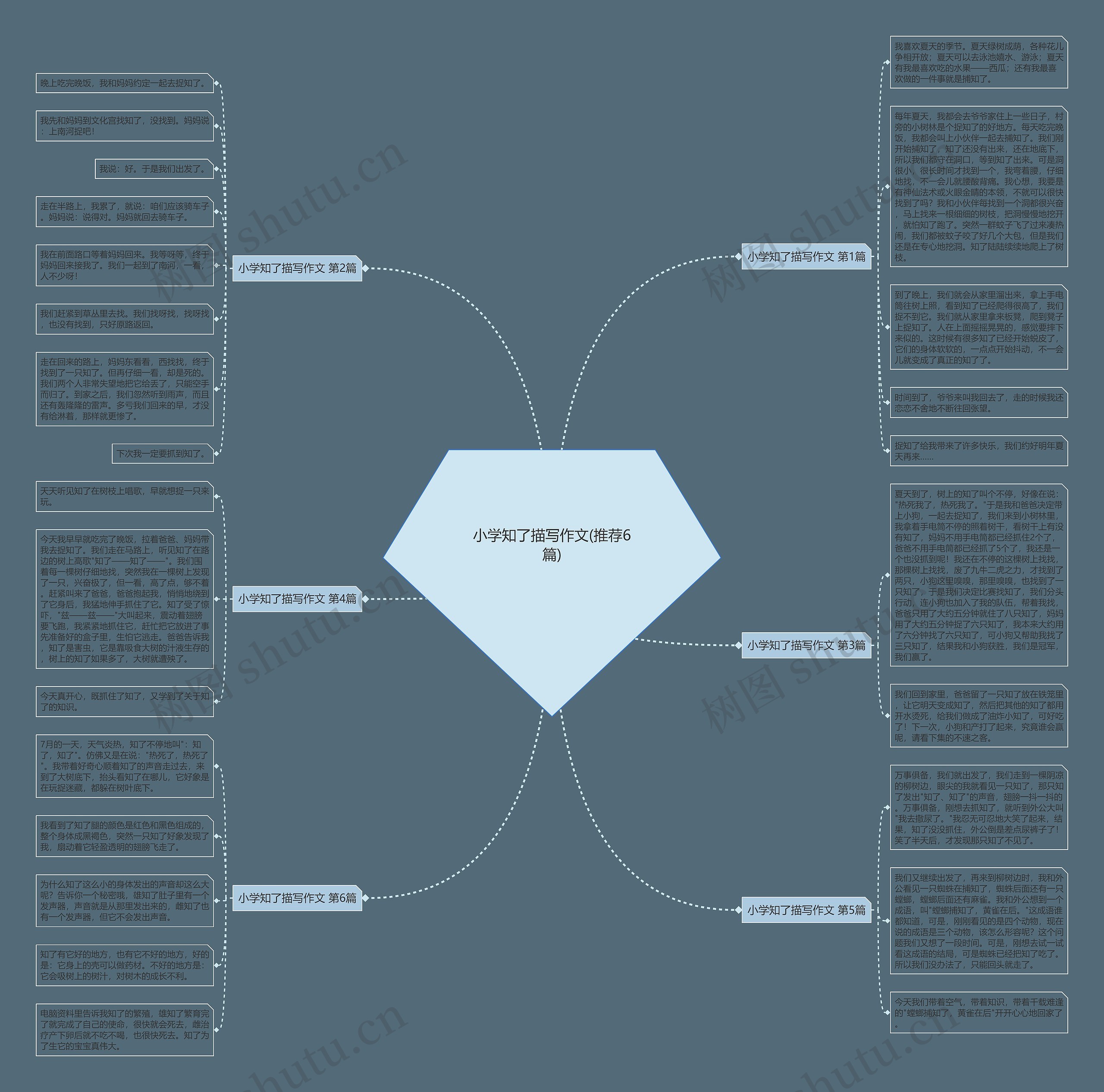 小学知了描写作文(推荐6篇)思维导图
