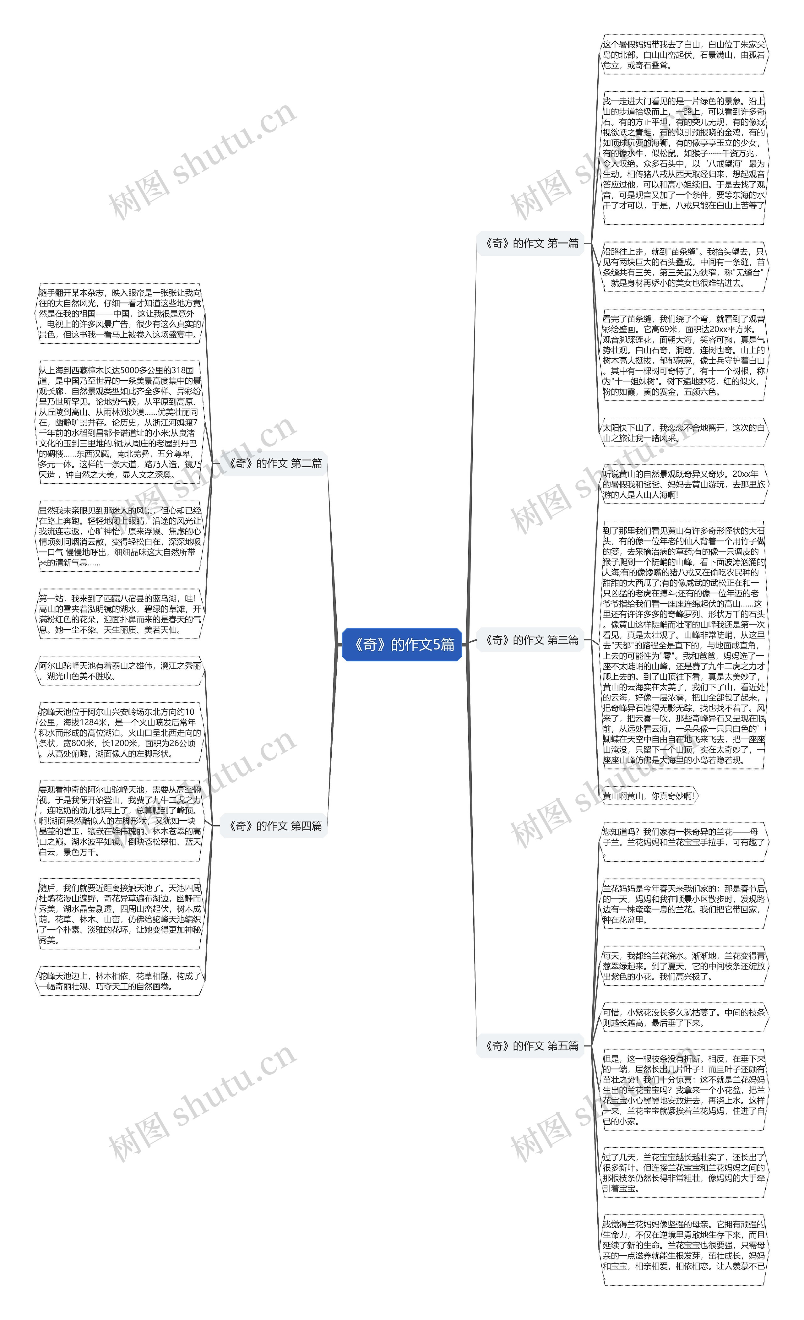 《奇》的作文5篇思维导图