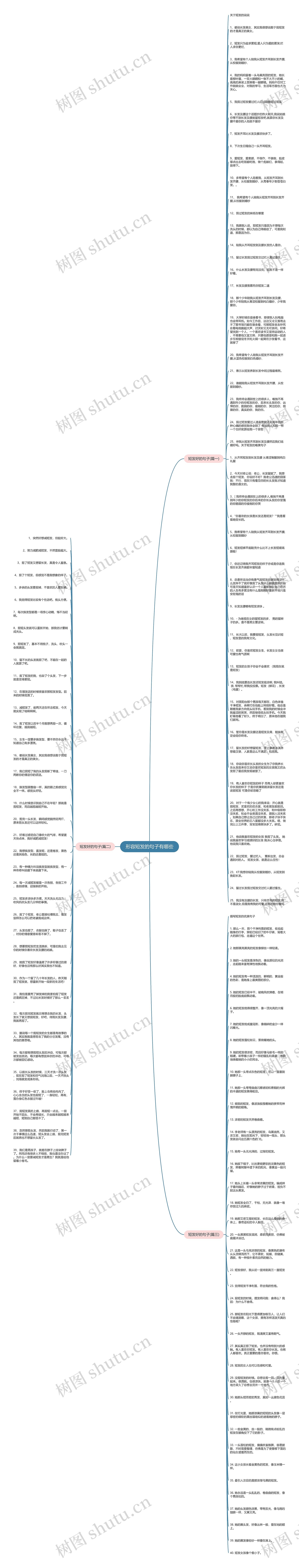形容短发的句子有哪些思维导图