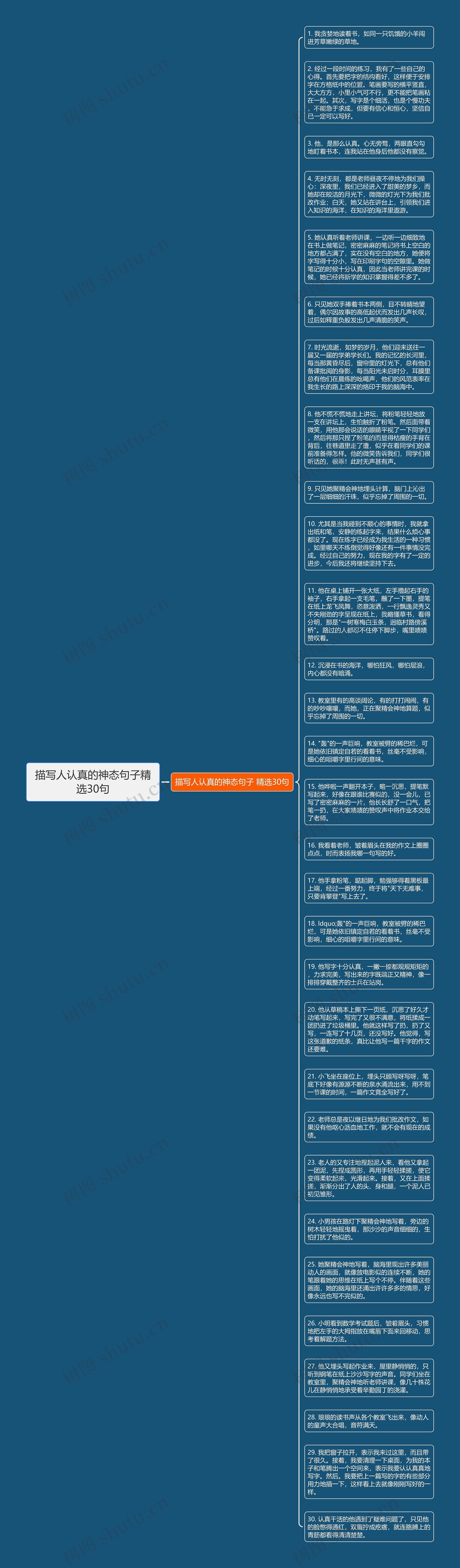 描写人认真的神态句子精选30句