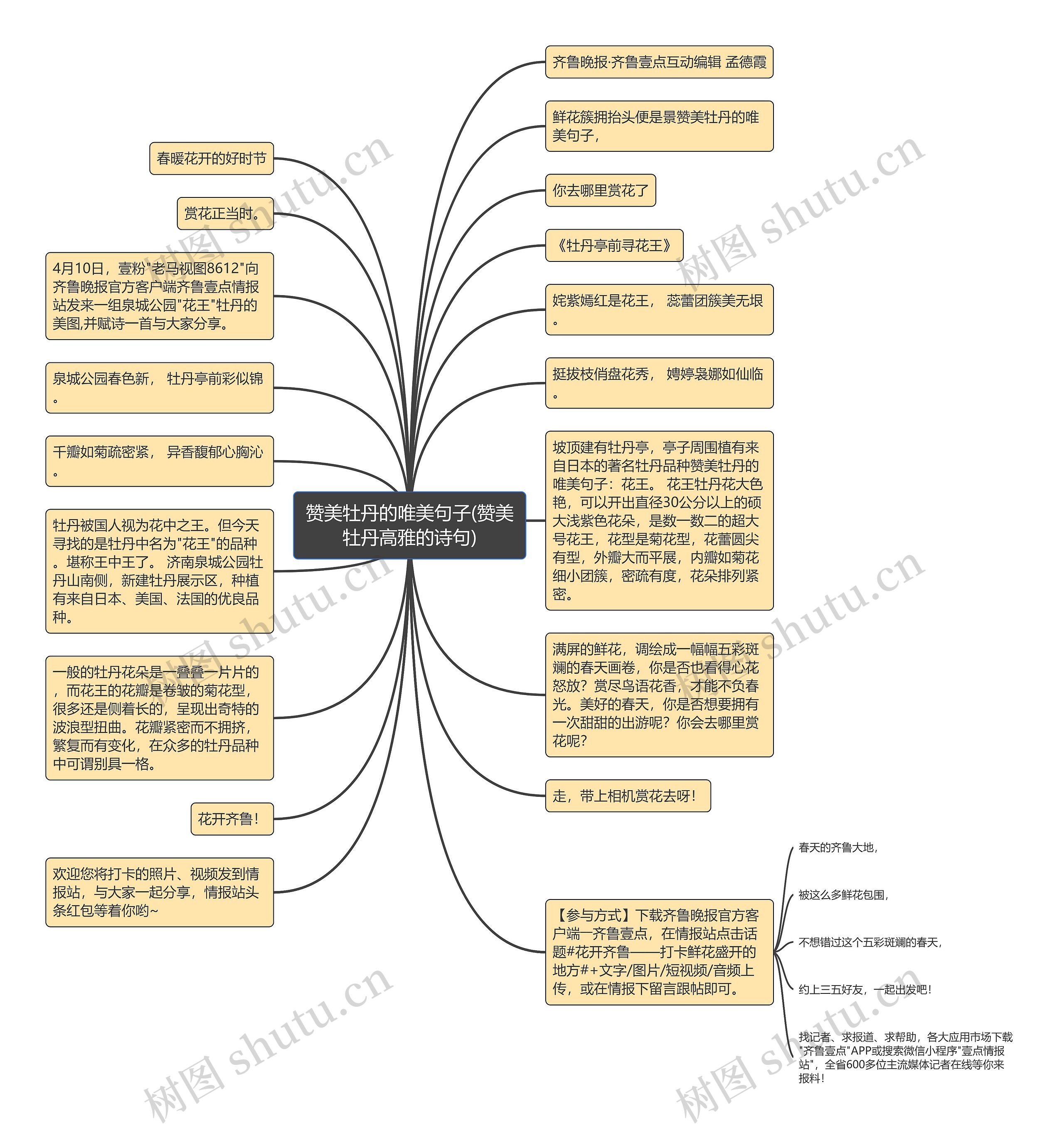 赞美牡丹的唯美句子(赞美牡丹高雅的诗句)思维导图