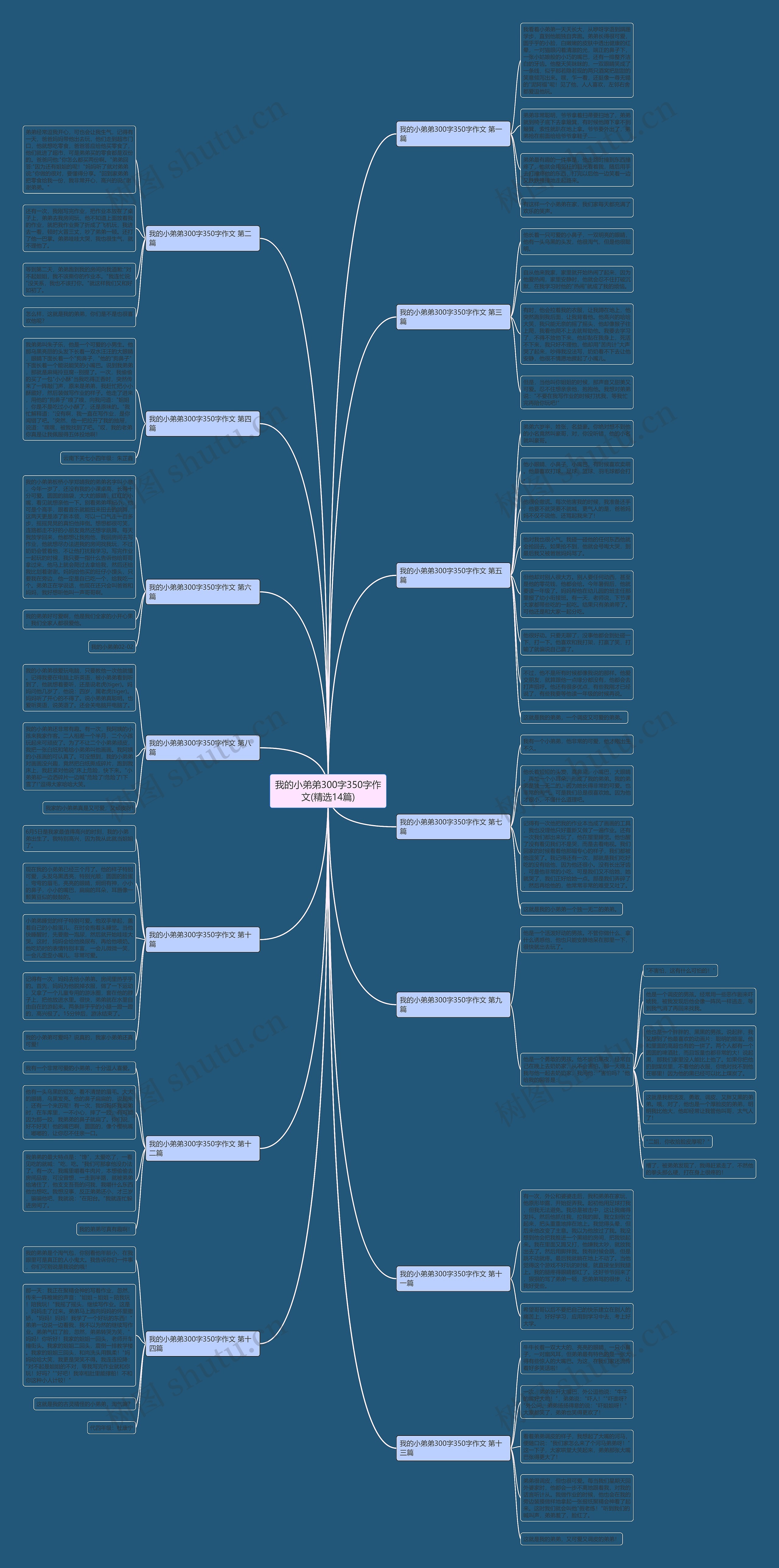 我的小弟弟300字350字作文(精选14篇) 我的小弟弟300字350字作文(精选14篇)