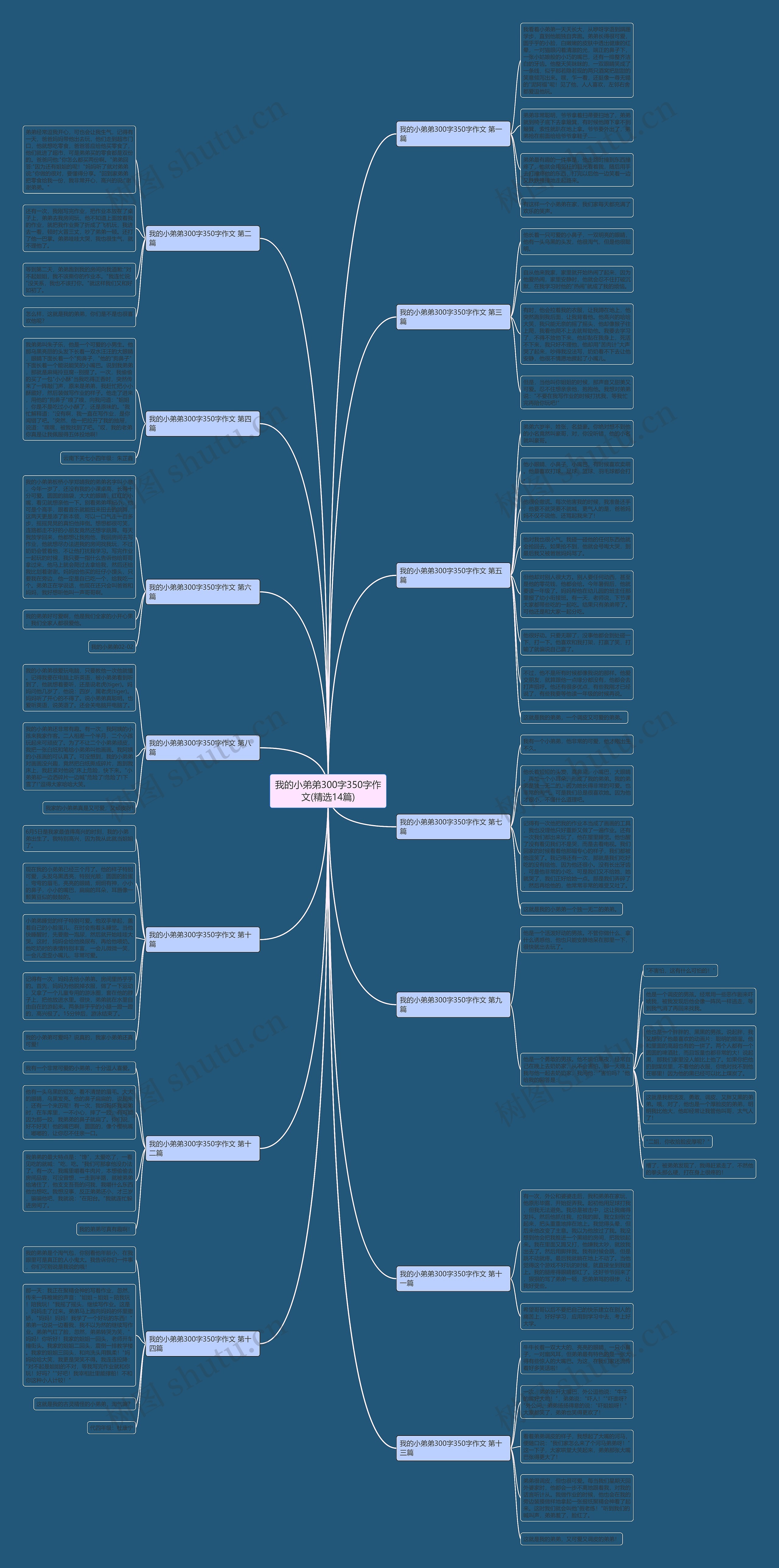 我的小弟弟300字350字作文(精选14篇)思维导图