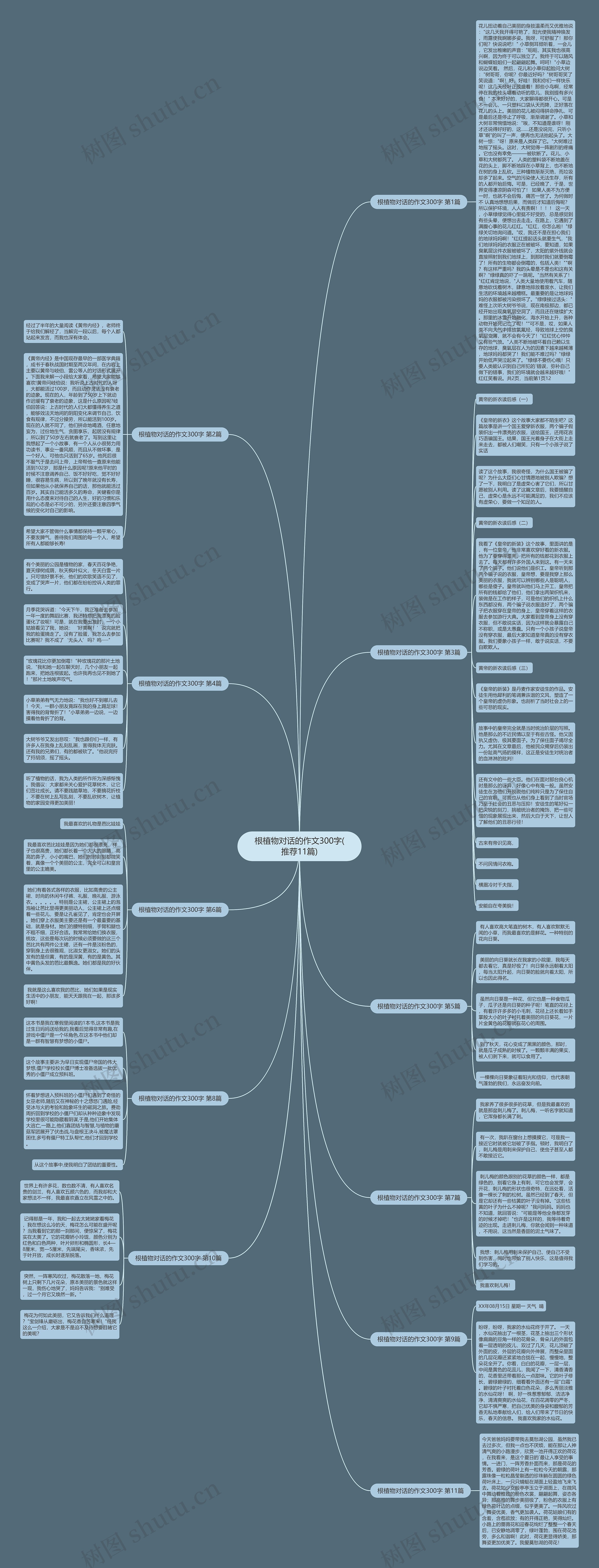 根植物对话的作文300字(推荐11篇)思维导图