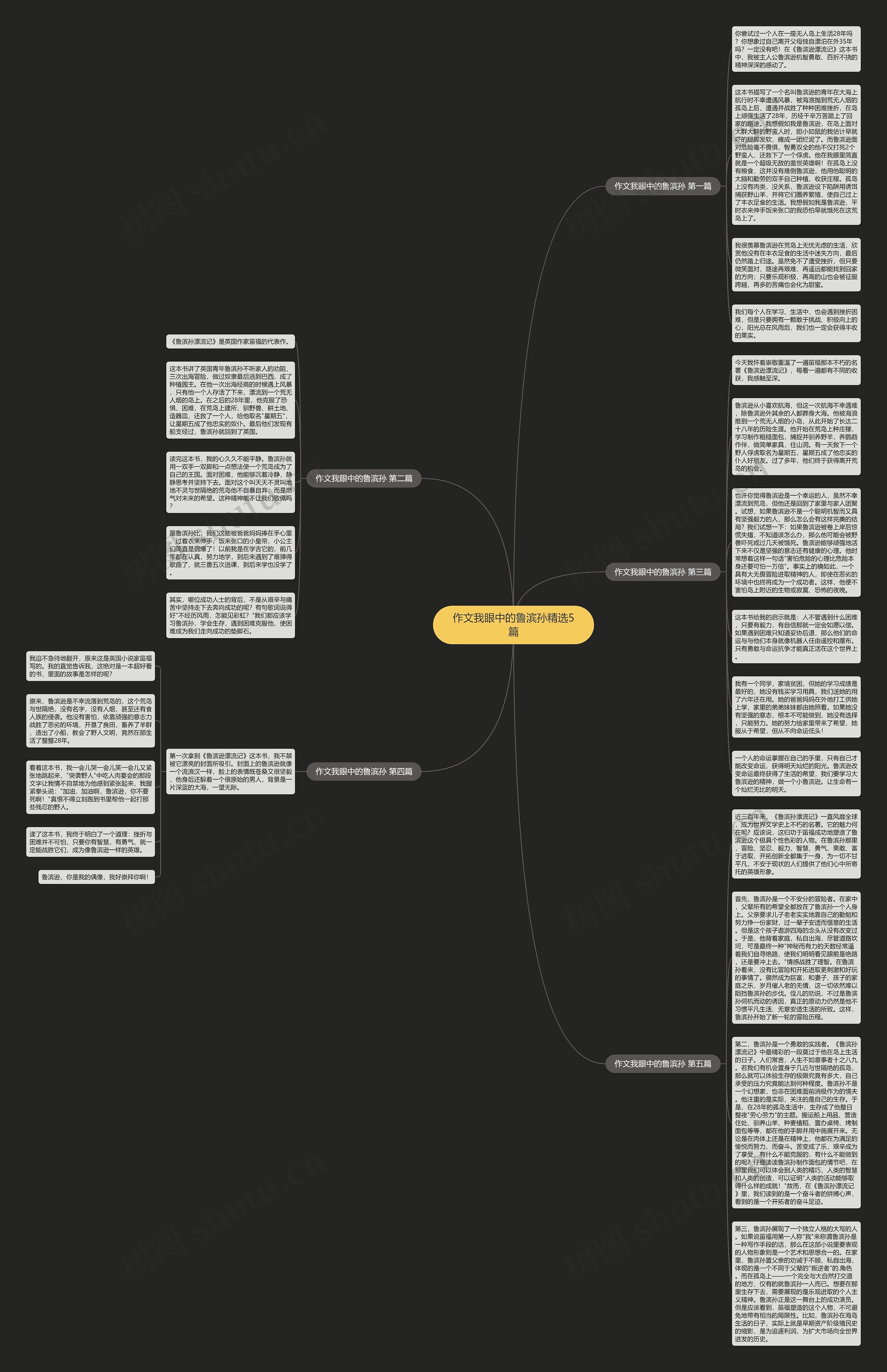 作文我眼中的鲁滨孙精选5篇思维导图