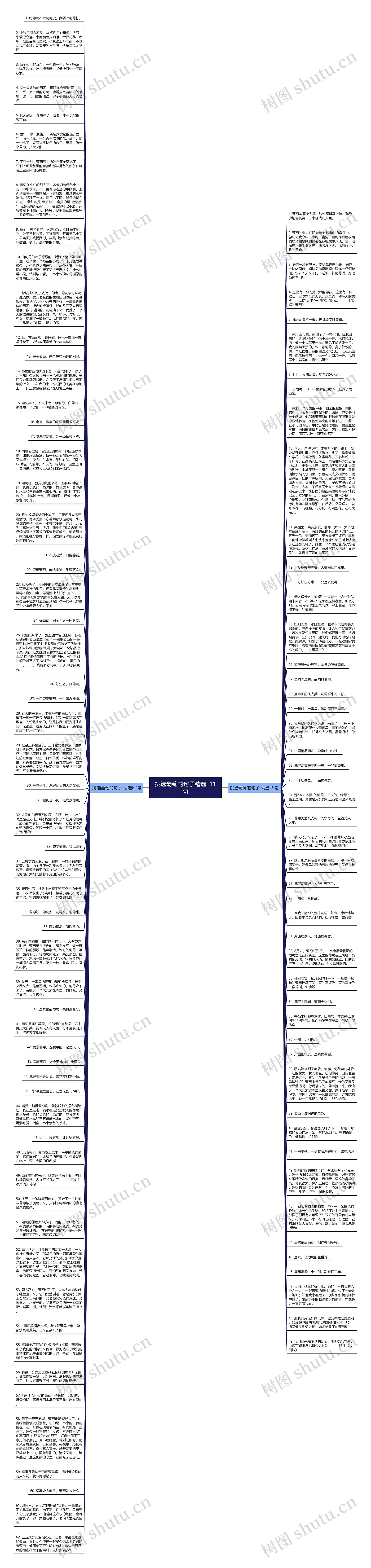挑选葡萄的句子精选111句思维导图
