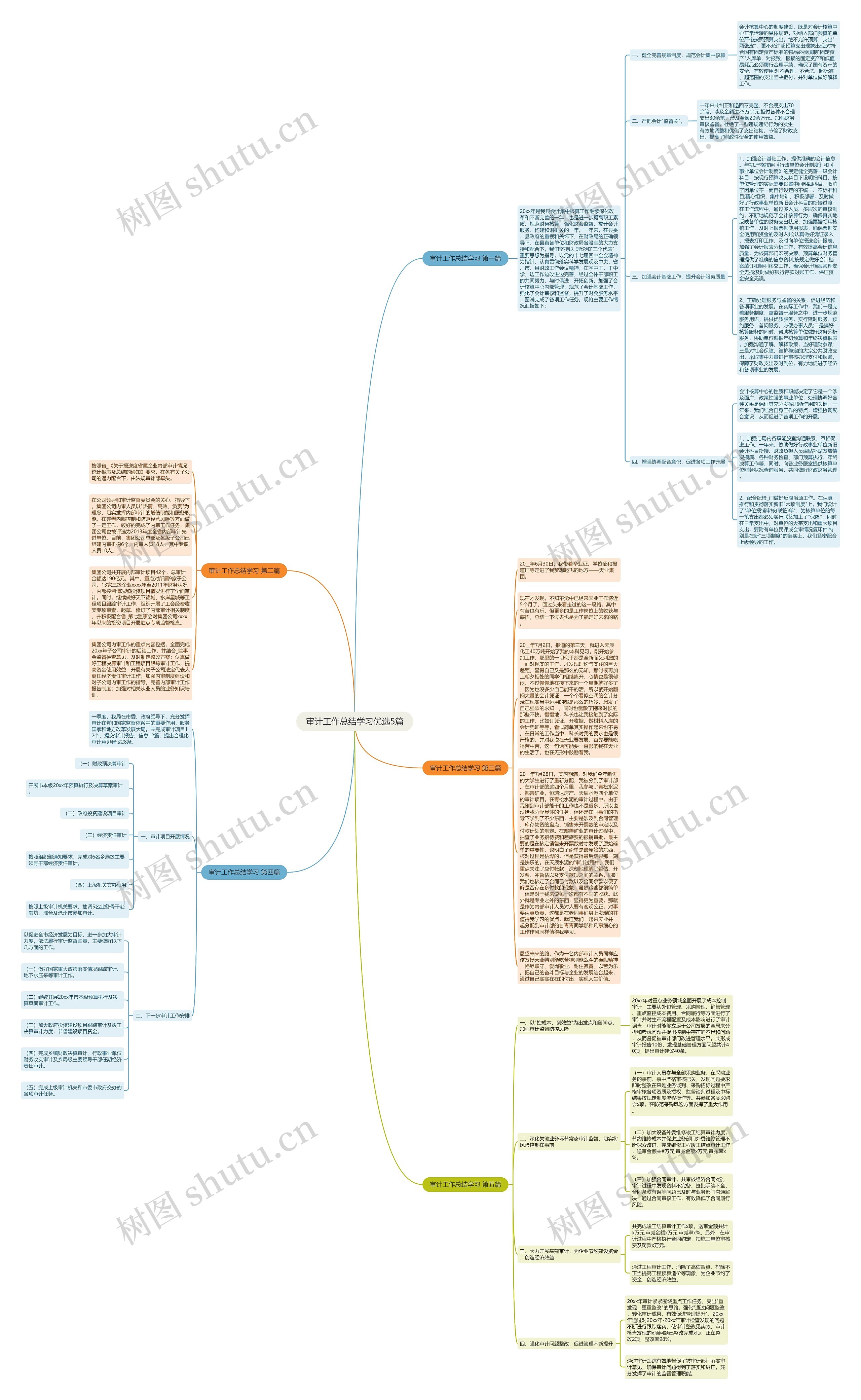 审计工作总结学习优选5篇