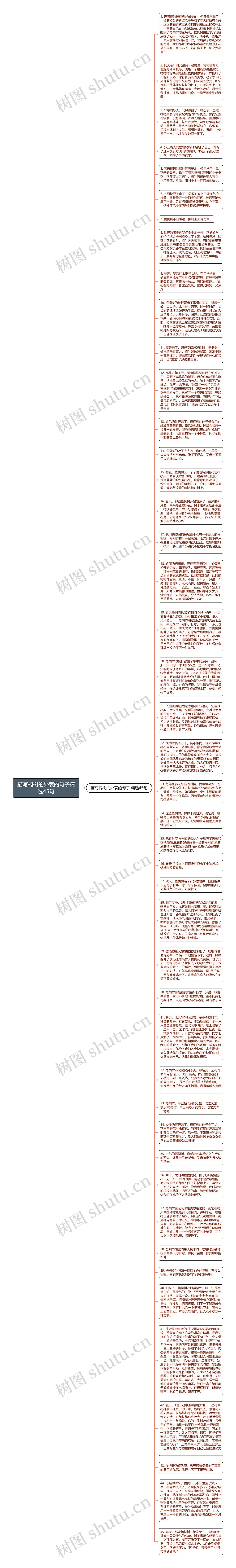 描写桐树的外表的句子精选45句思维导图