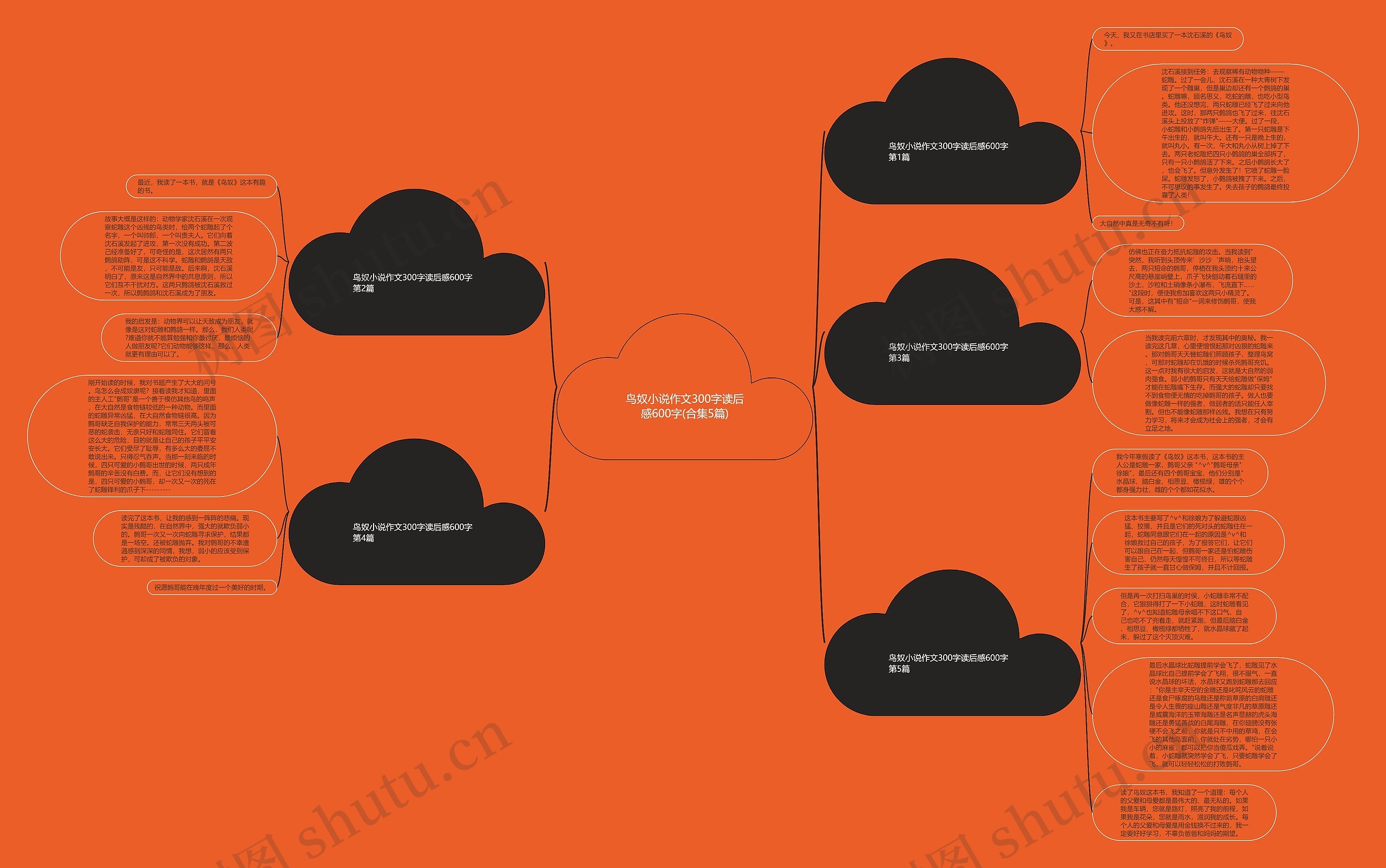 鸟奴小说作文300字读后感600字(合集5篇)思维导图
