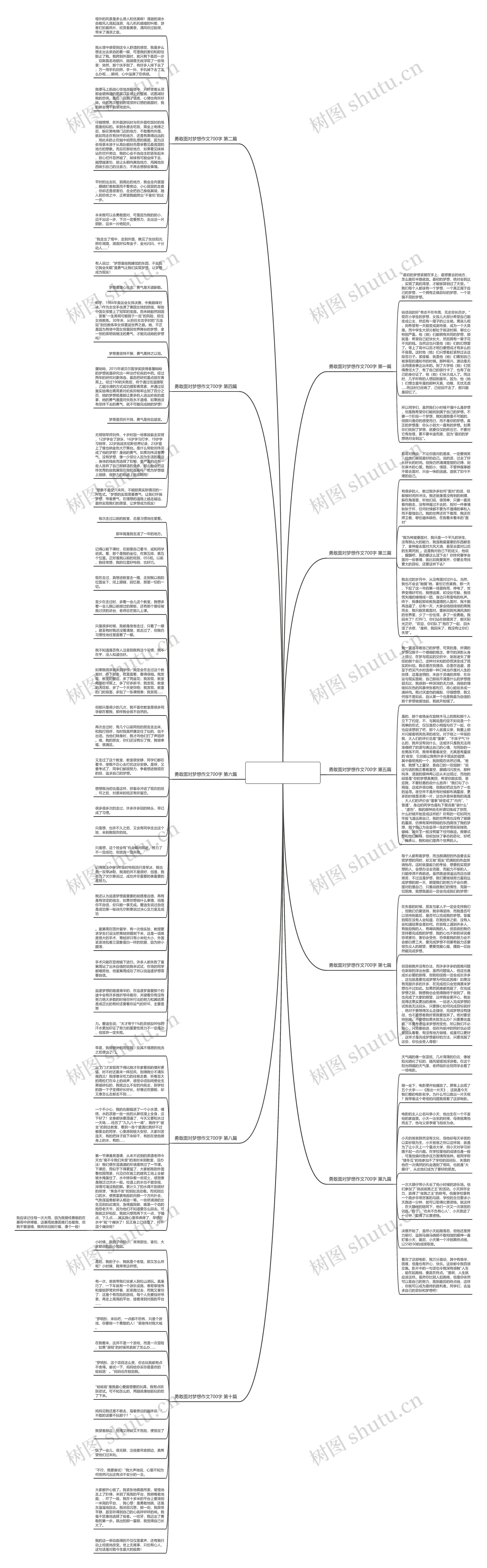 勇敢面对梦想作文700字共10篇思维导图