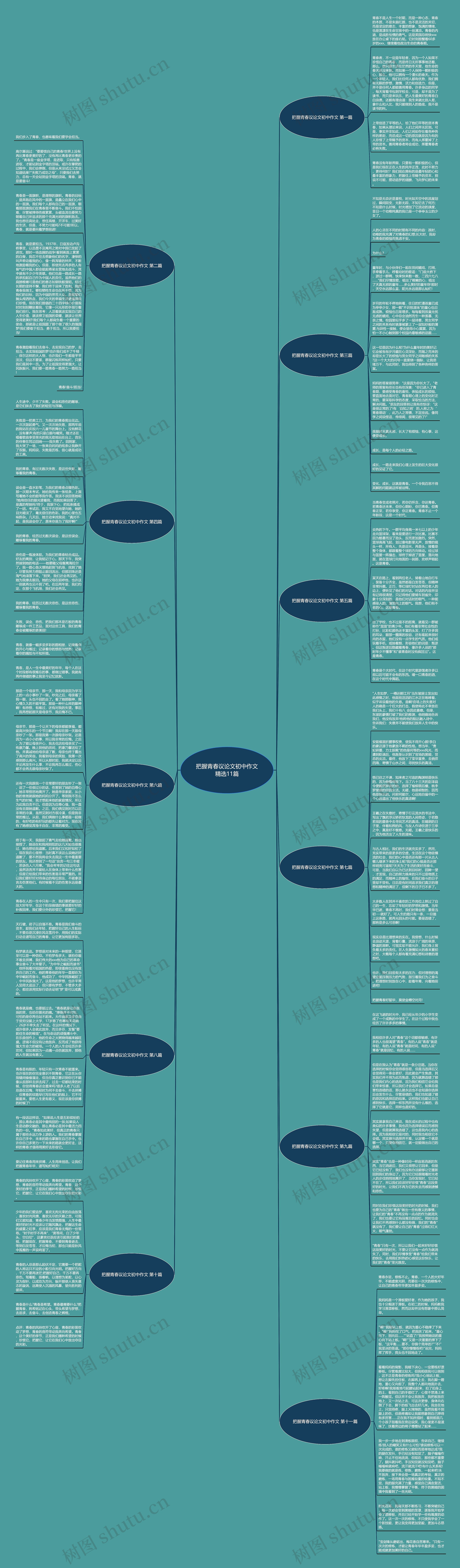 把握青春议论文初中作文精选11篇思维导图