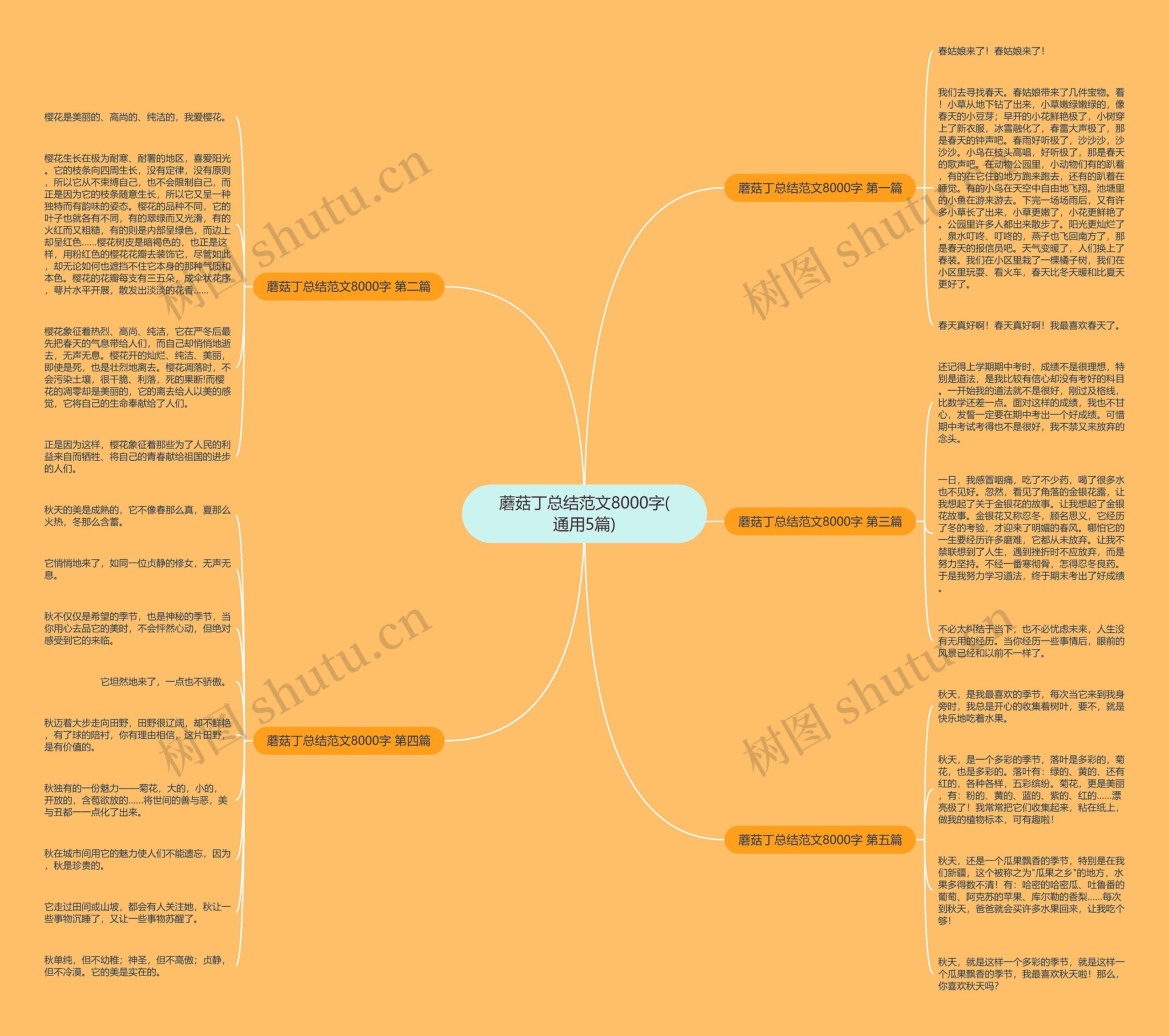 蘑菇丁总结范文8000字(通用5篇)思维导图