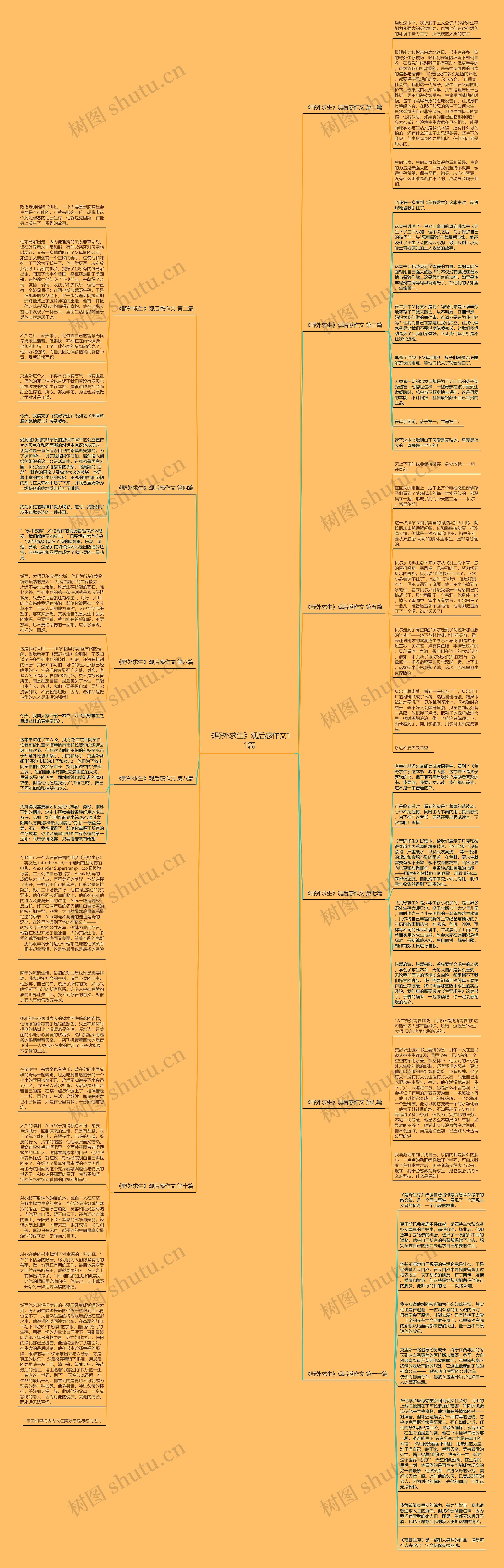 《野外求生》观后感作文11篇思维导图