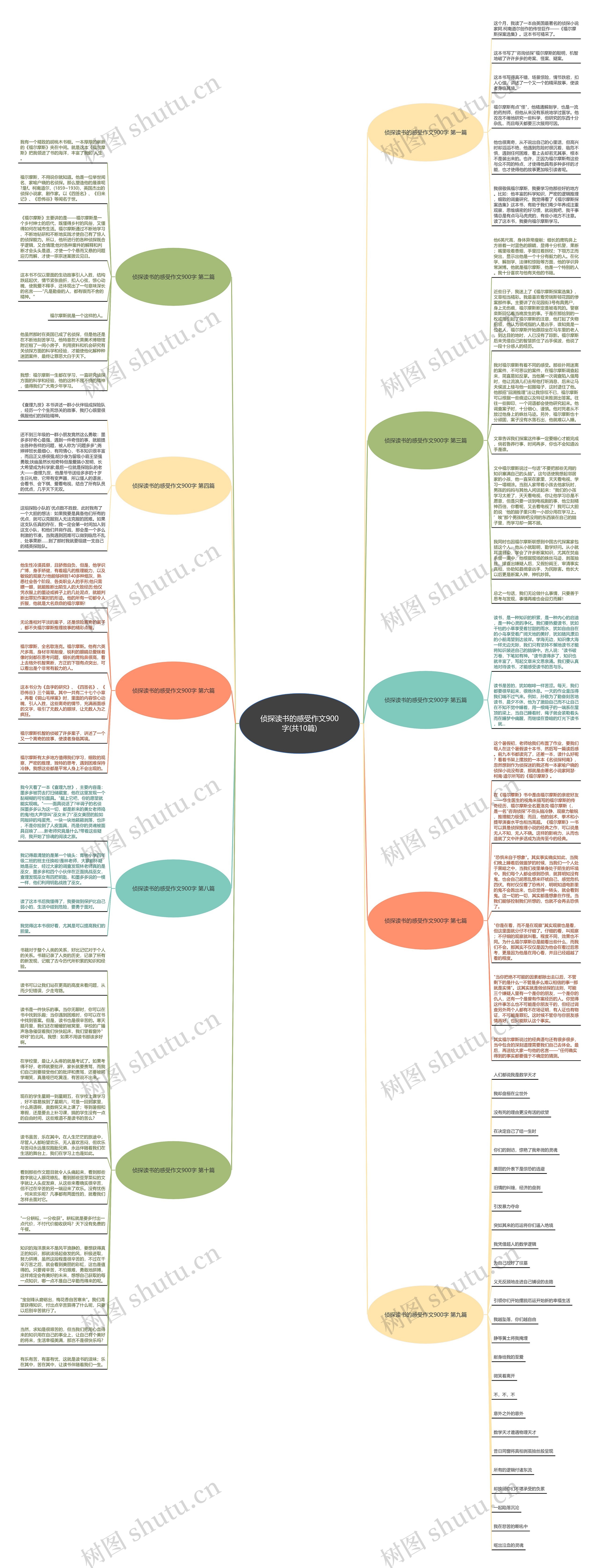 侦探读书的感受作文900字(共10篇)思维导图