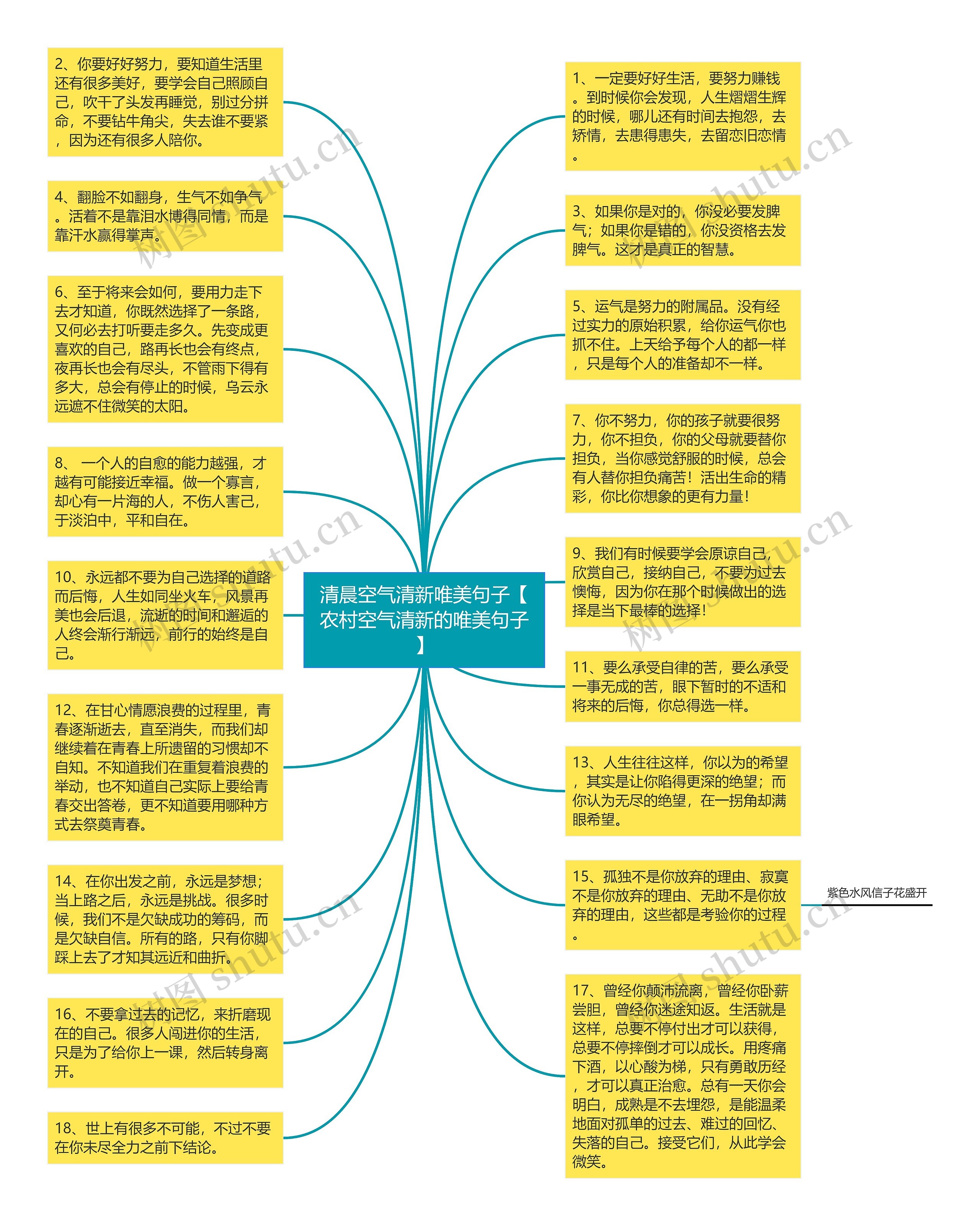 清晨空气清新唯美句子【农村空气清新的唯美句子】