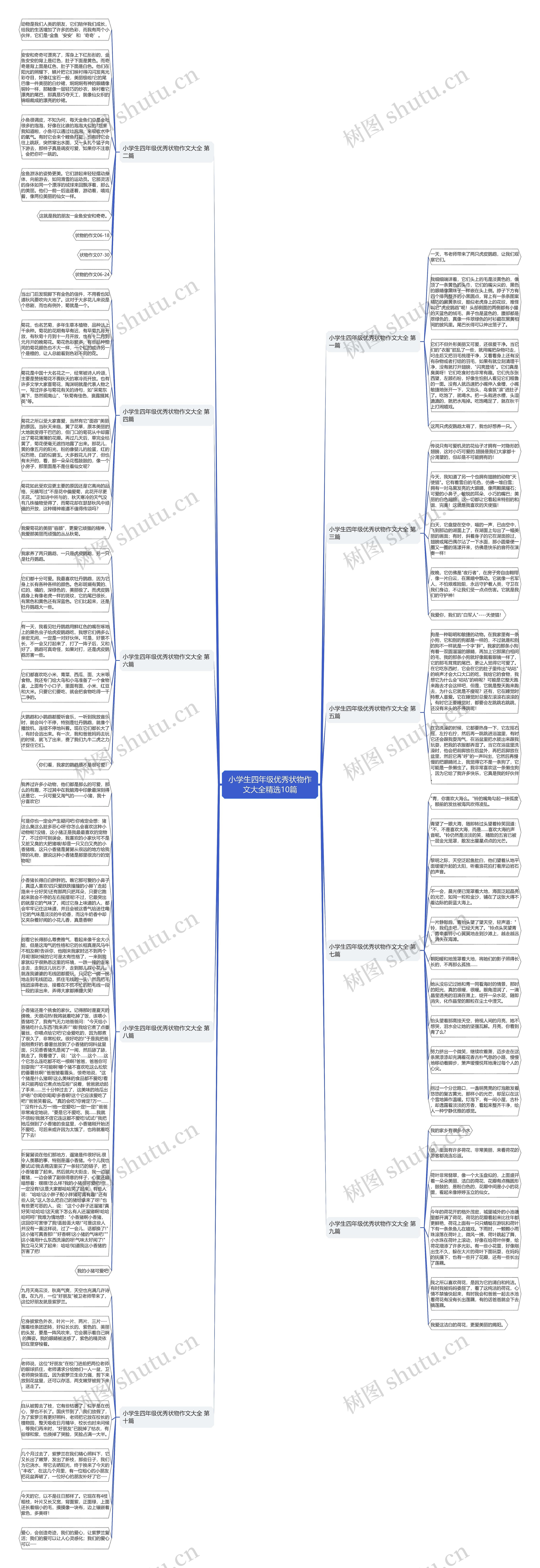 小学生四年级优秀状物作文大全精选10篇思维导图