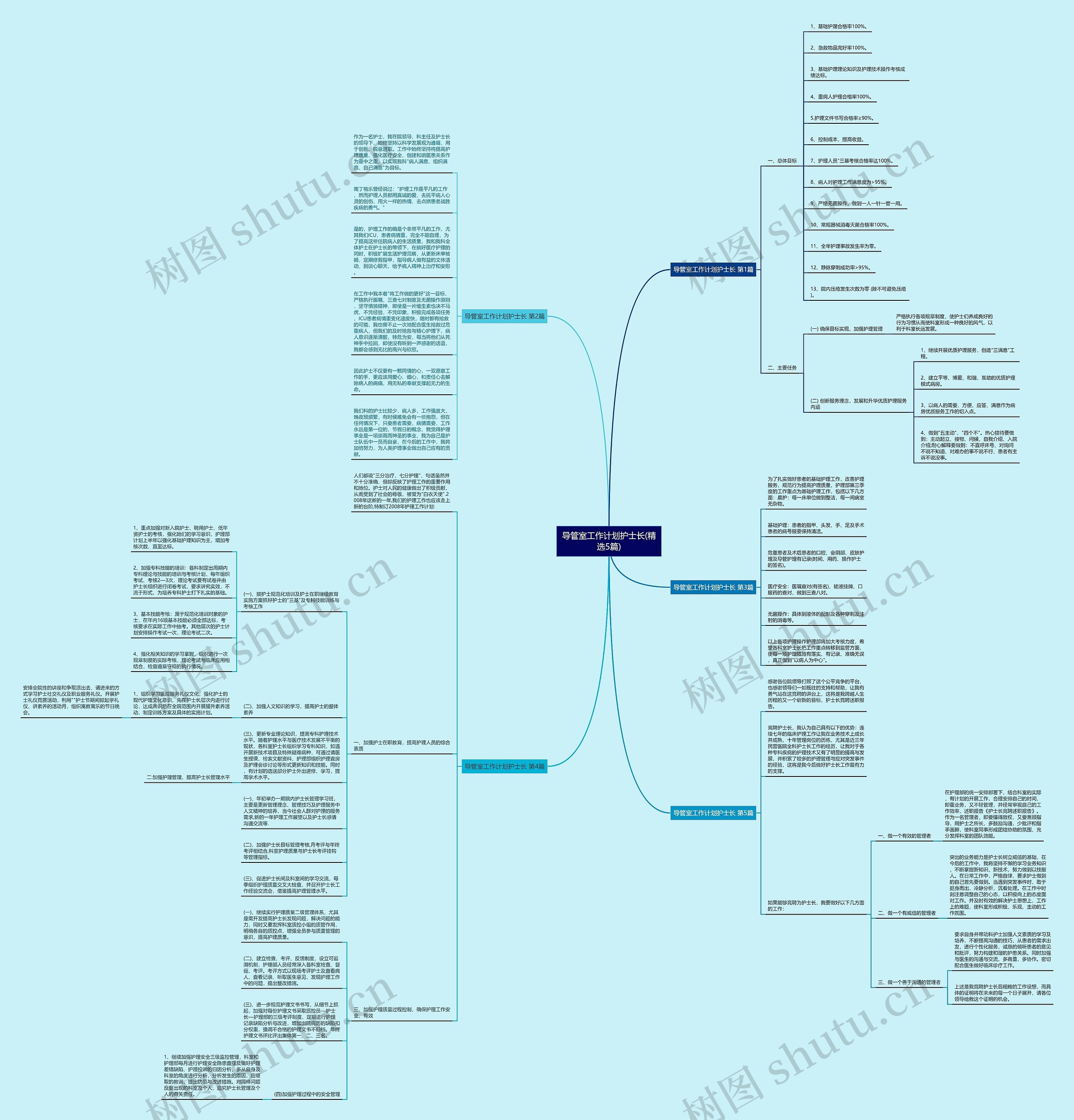 导管室工作计划护士长(精选5篇)思维导图