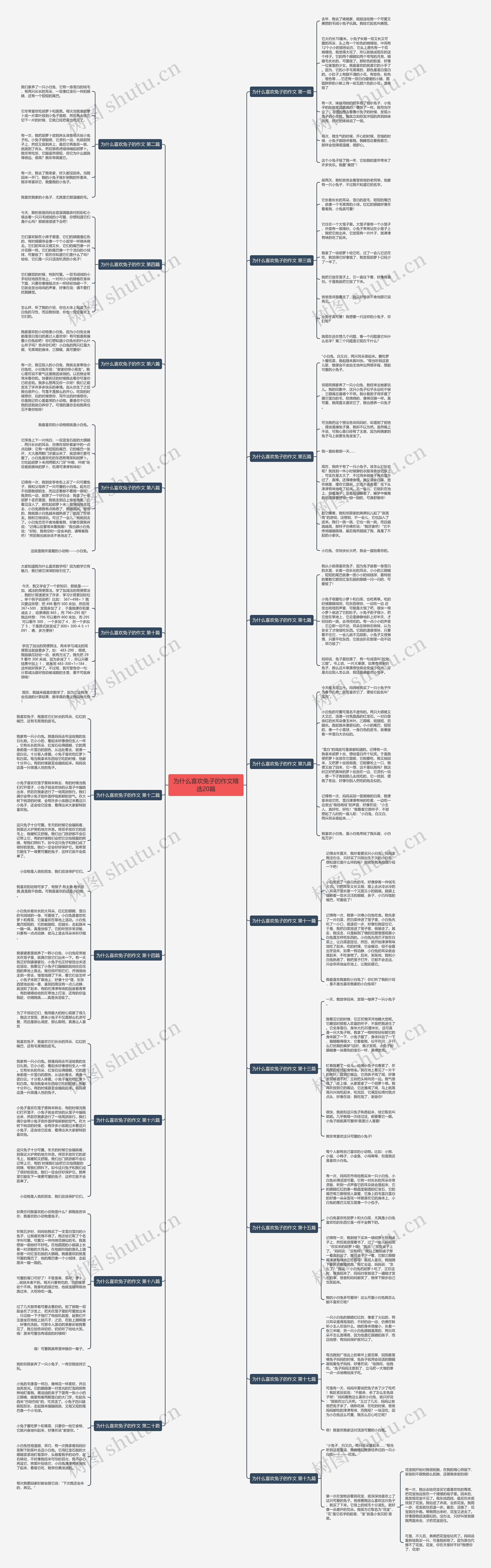 为什么喜欢兔子的作文精选20篇思维导图