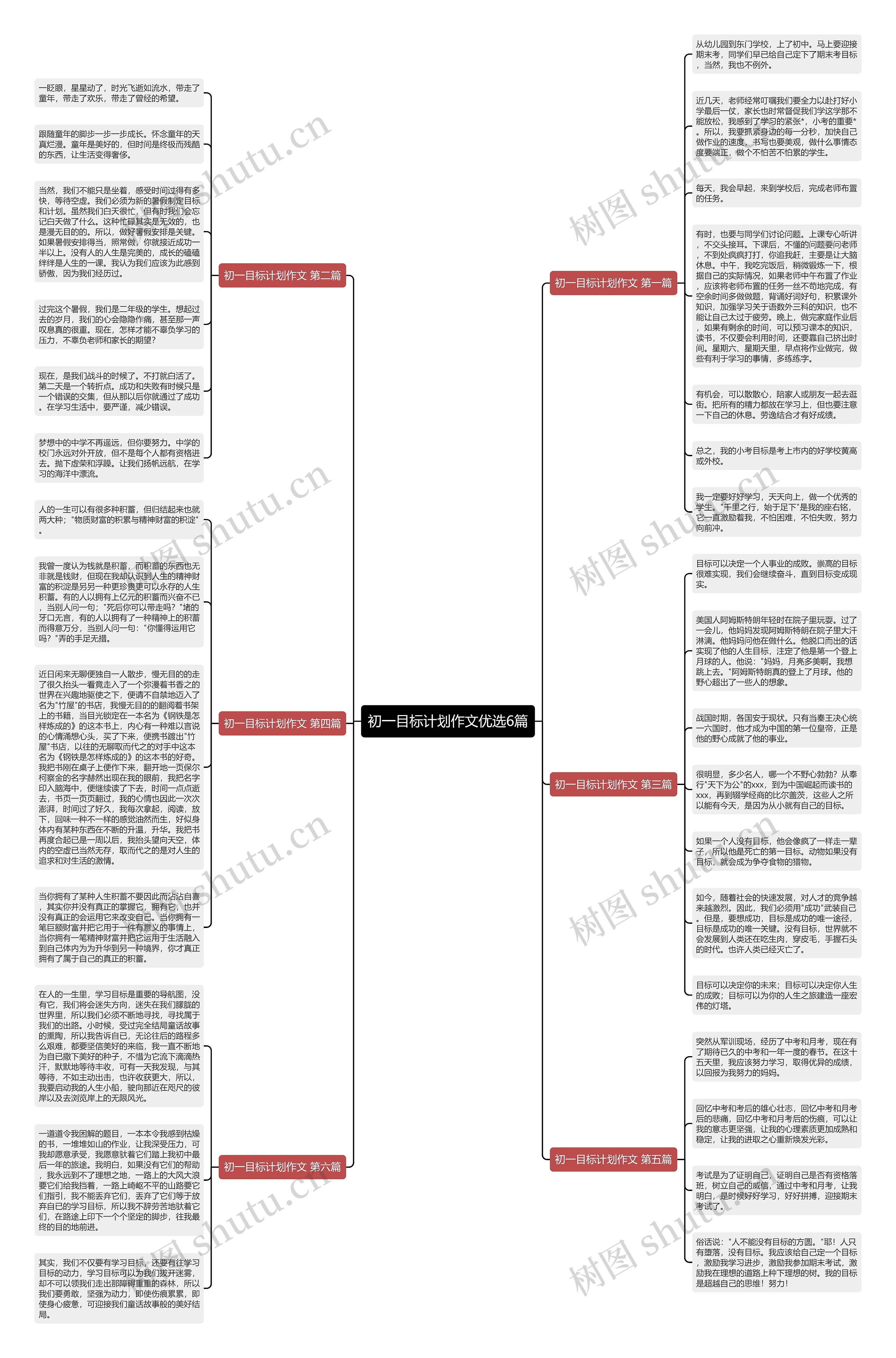 初一目标计划作文优选6篇思维导图