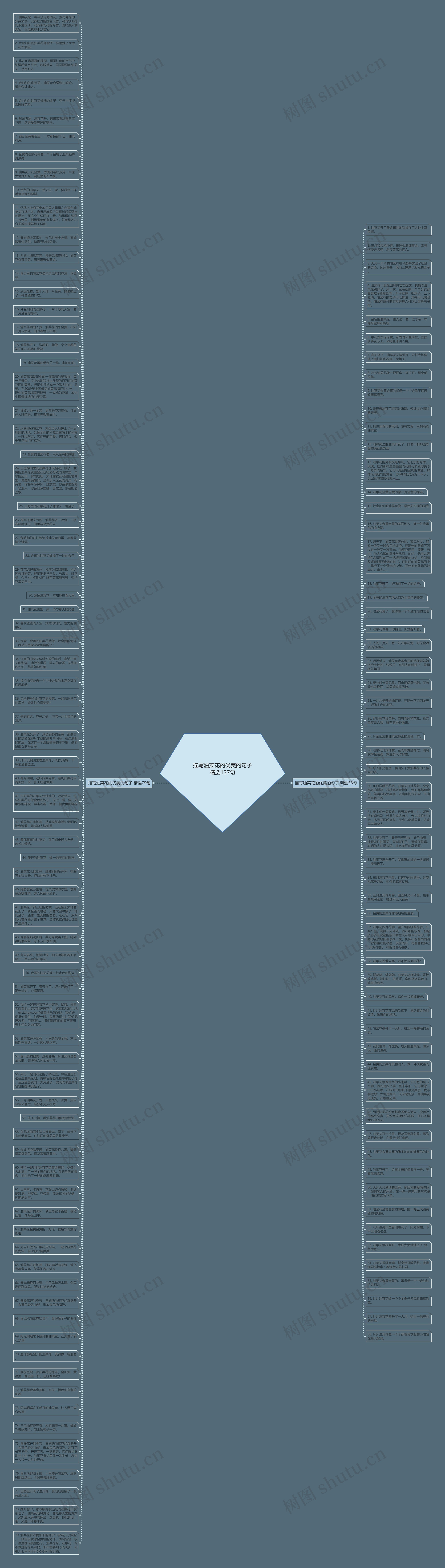 描写油菜花的优美的句子精选137句思维导图