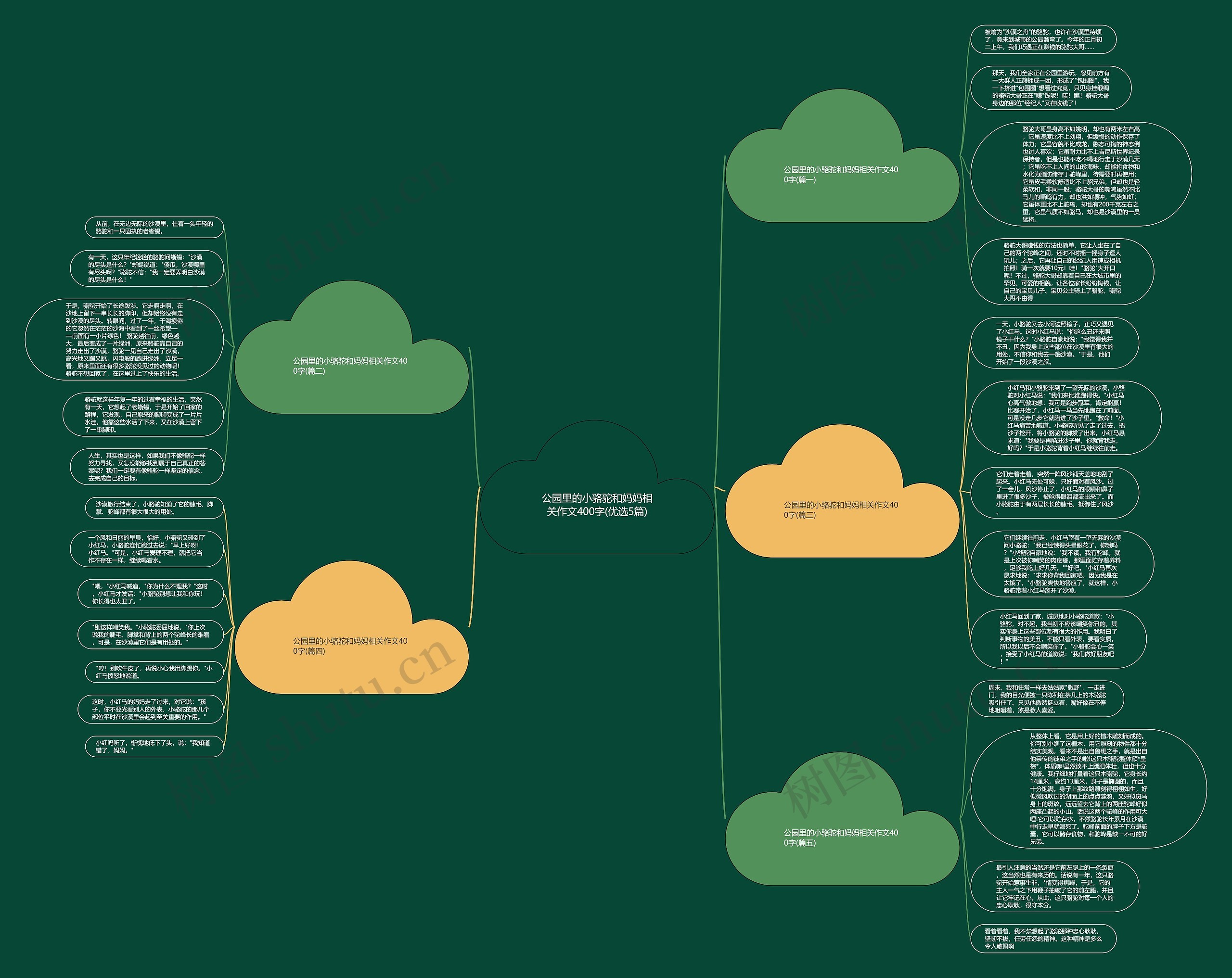 公园里的小骆驼和妈妈相关作文400字(优选5篇)思维导图