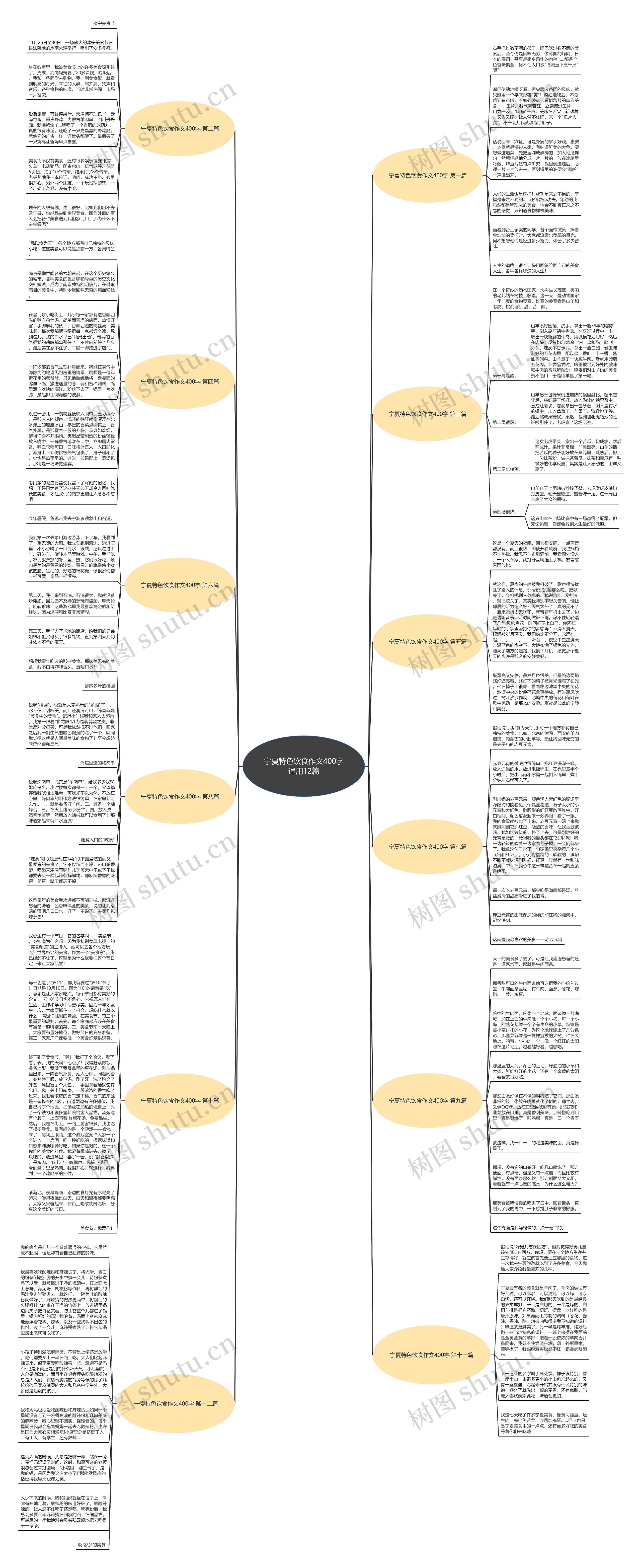 宁夏特色饮食作文400字通用12篇思维导图
