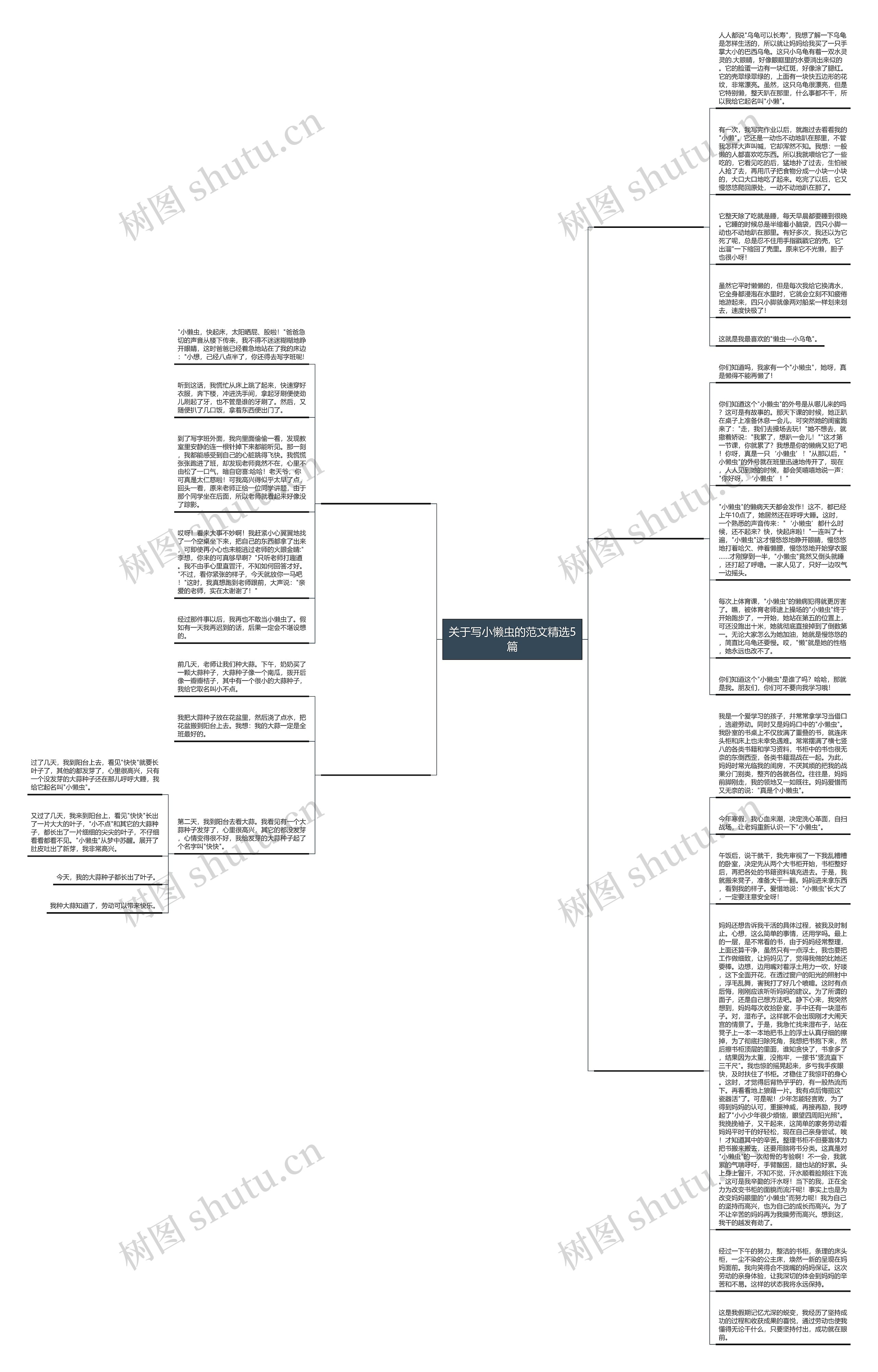 关于写小懒虫的范文精选5篇思维导图