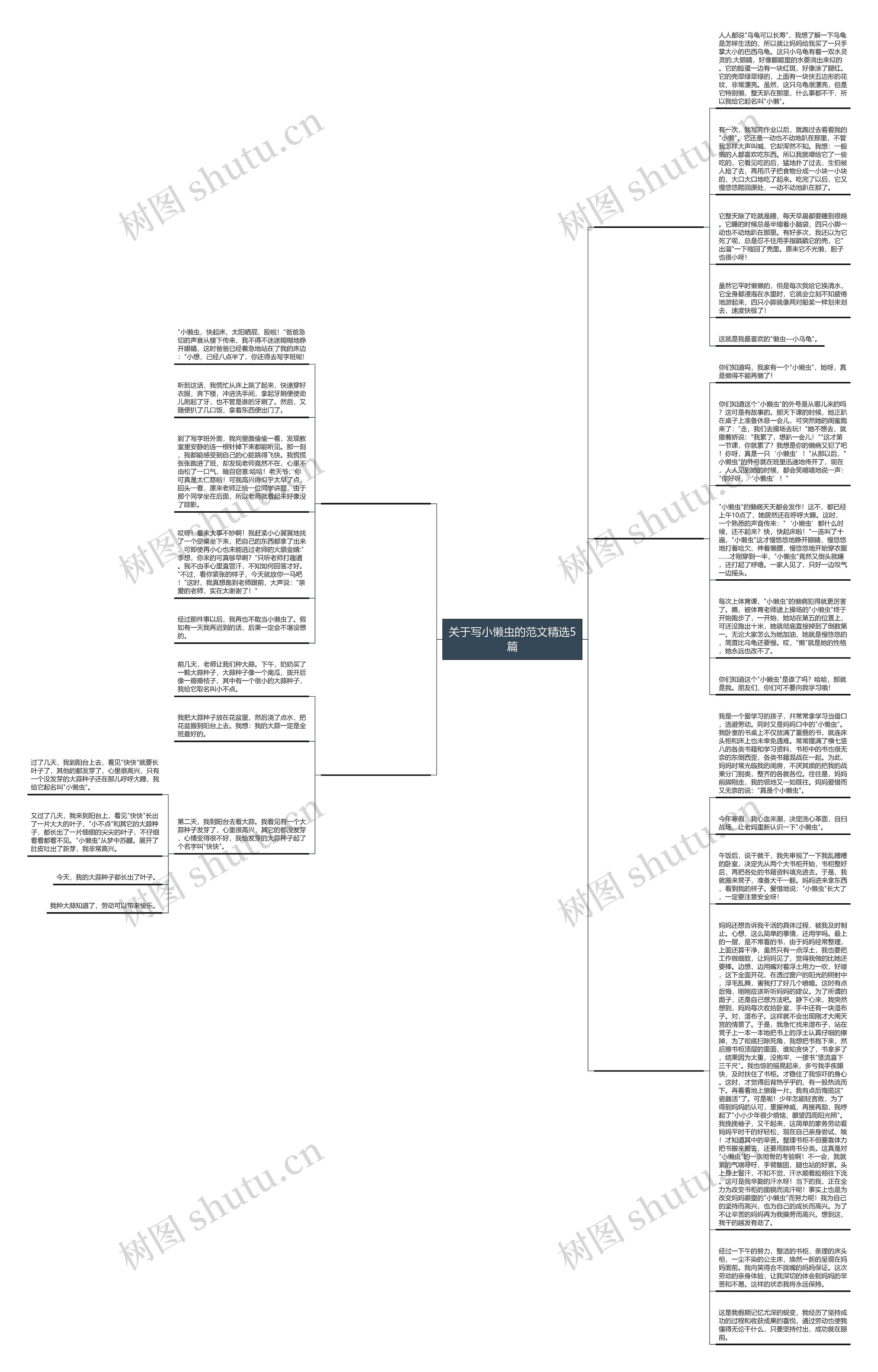 关于写小懒虫的范文精选5篇思维导图高清图 关于写小懒虫的范文精选5篇思维导图