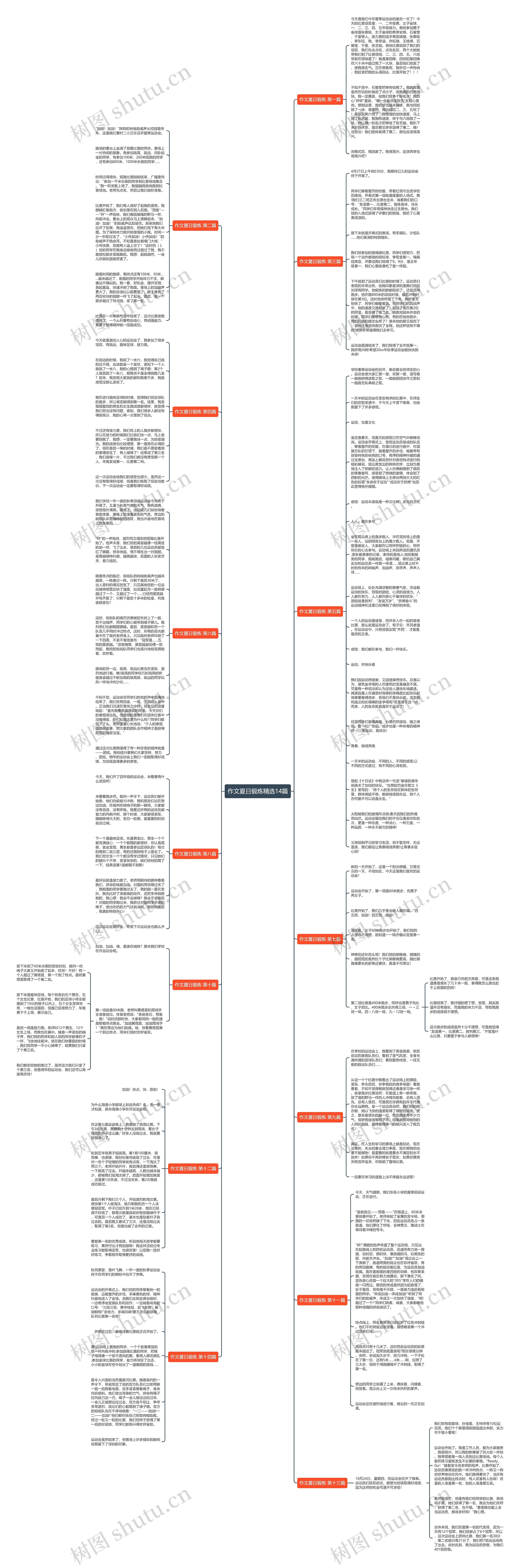 作文夏日锻炼精选14篇思维导图