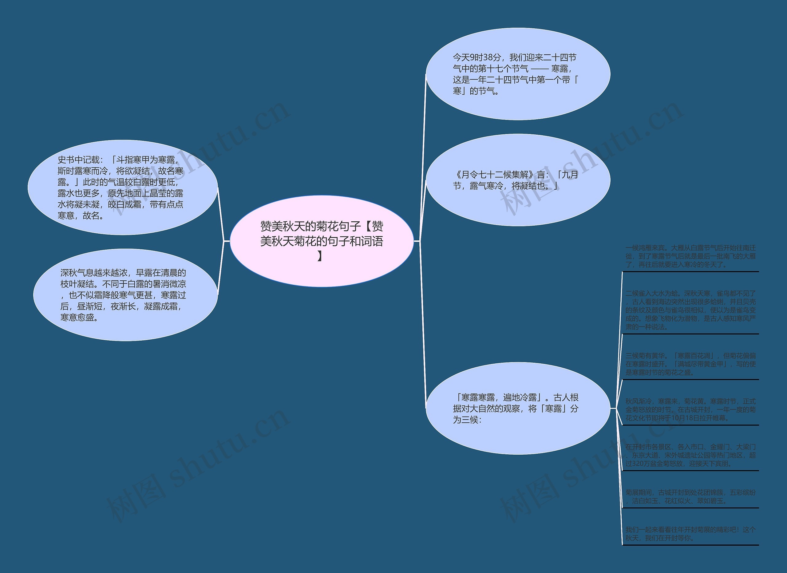 赞美秋天的菊花句子【赞美秋天菊花的句子和词语】思维导图